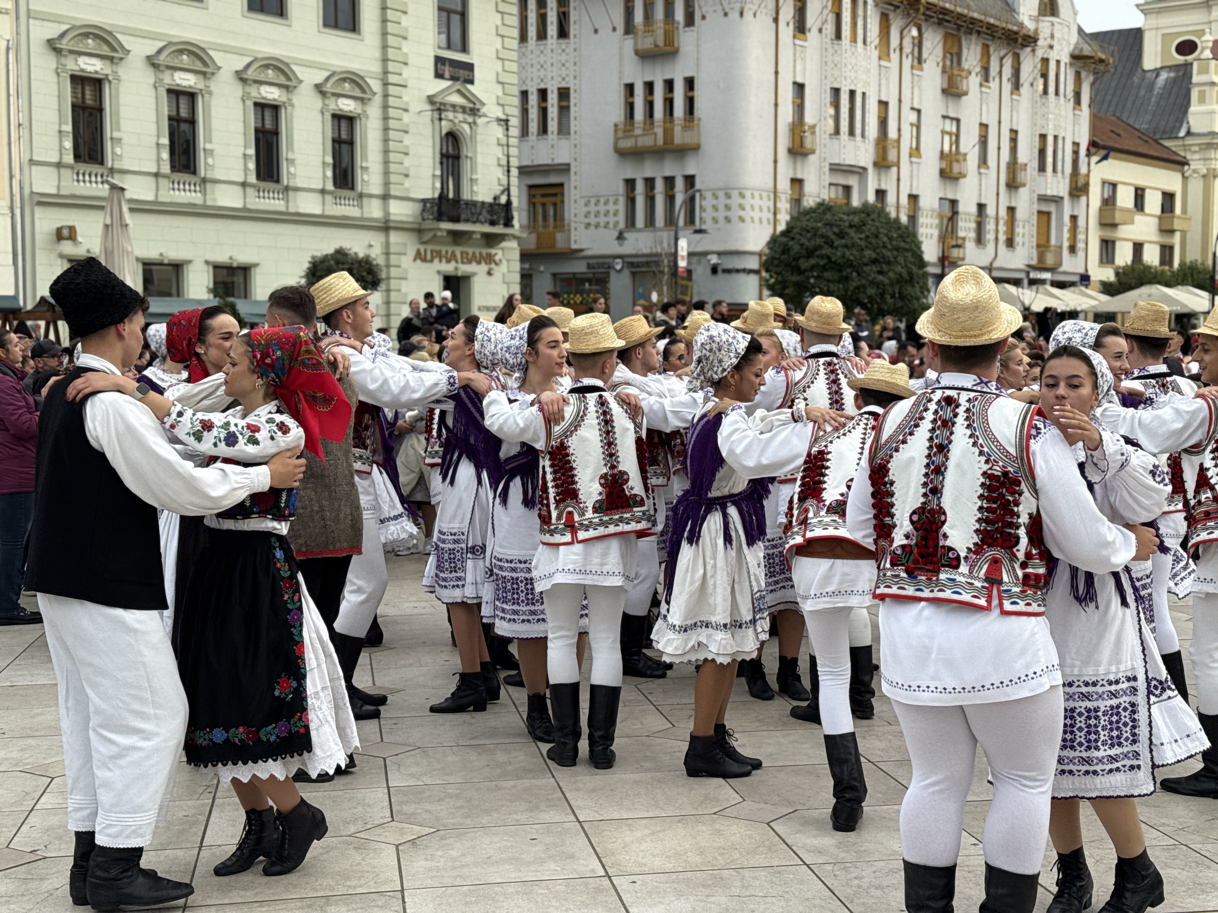 Higheghe și vin (4)