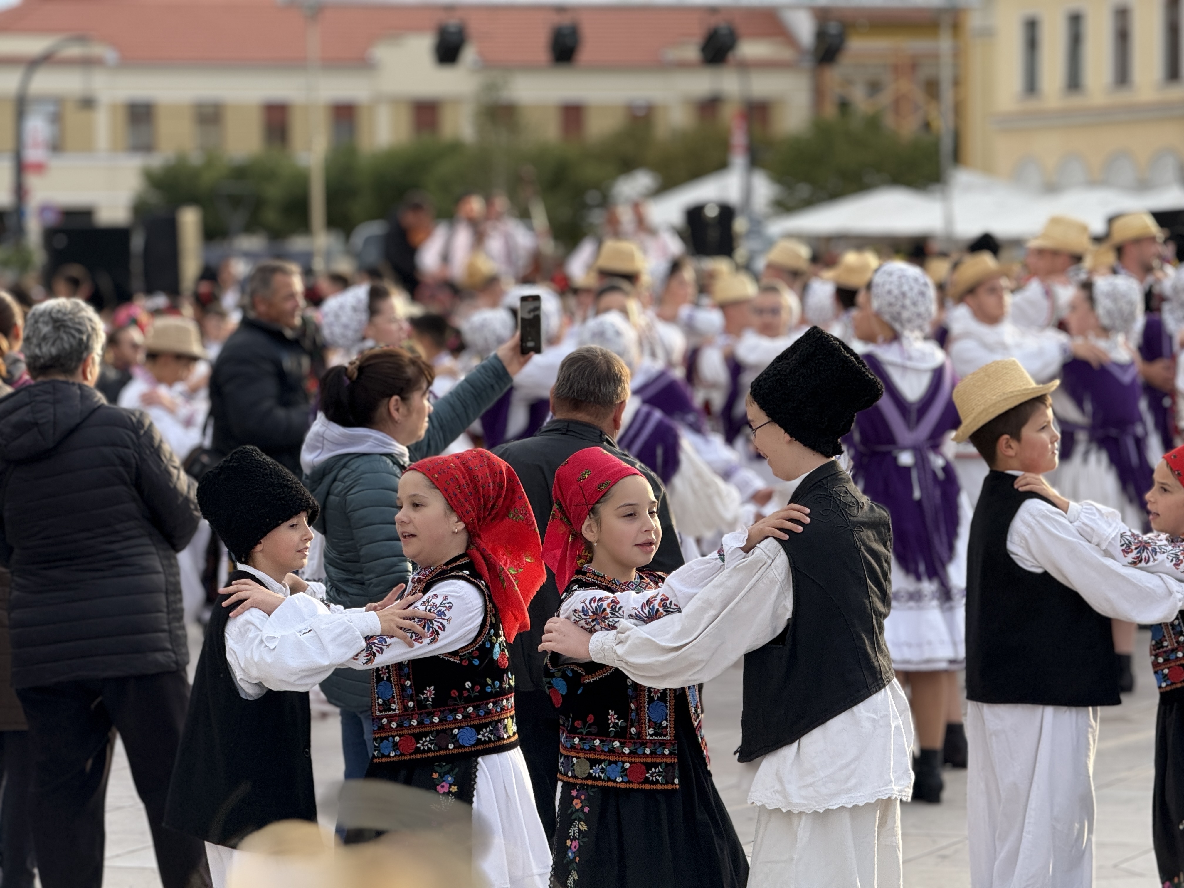 Higheghe și vin (6)