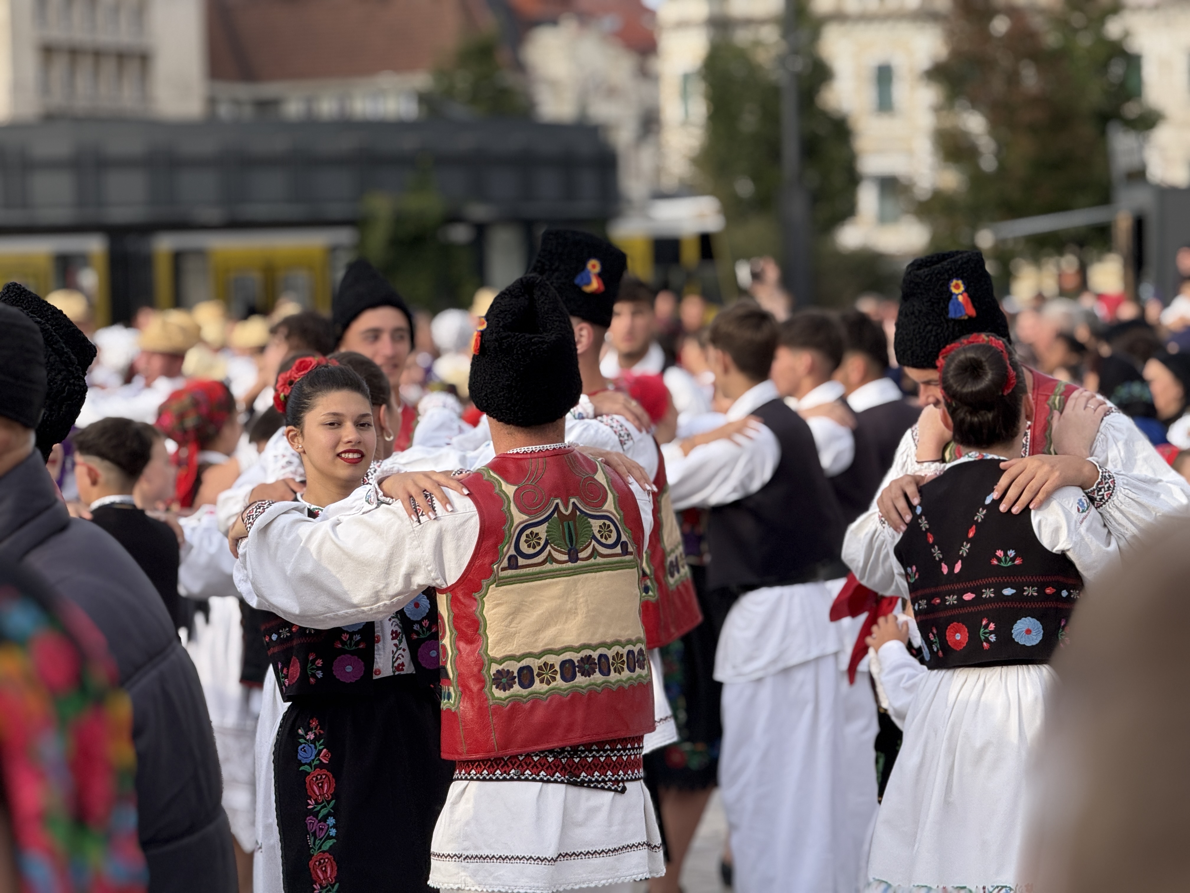 Higheghe și vin (7)