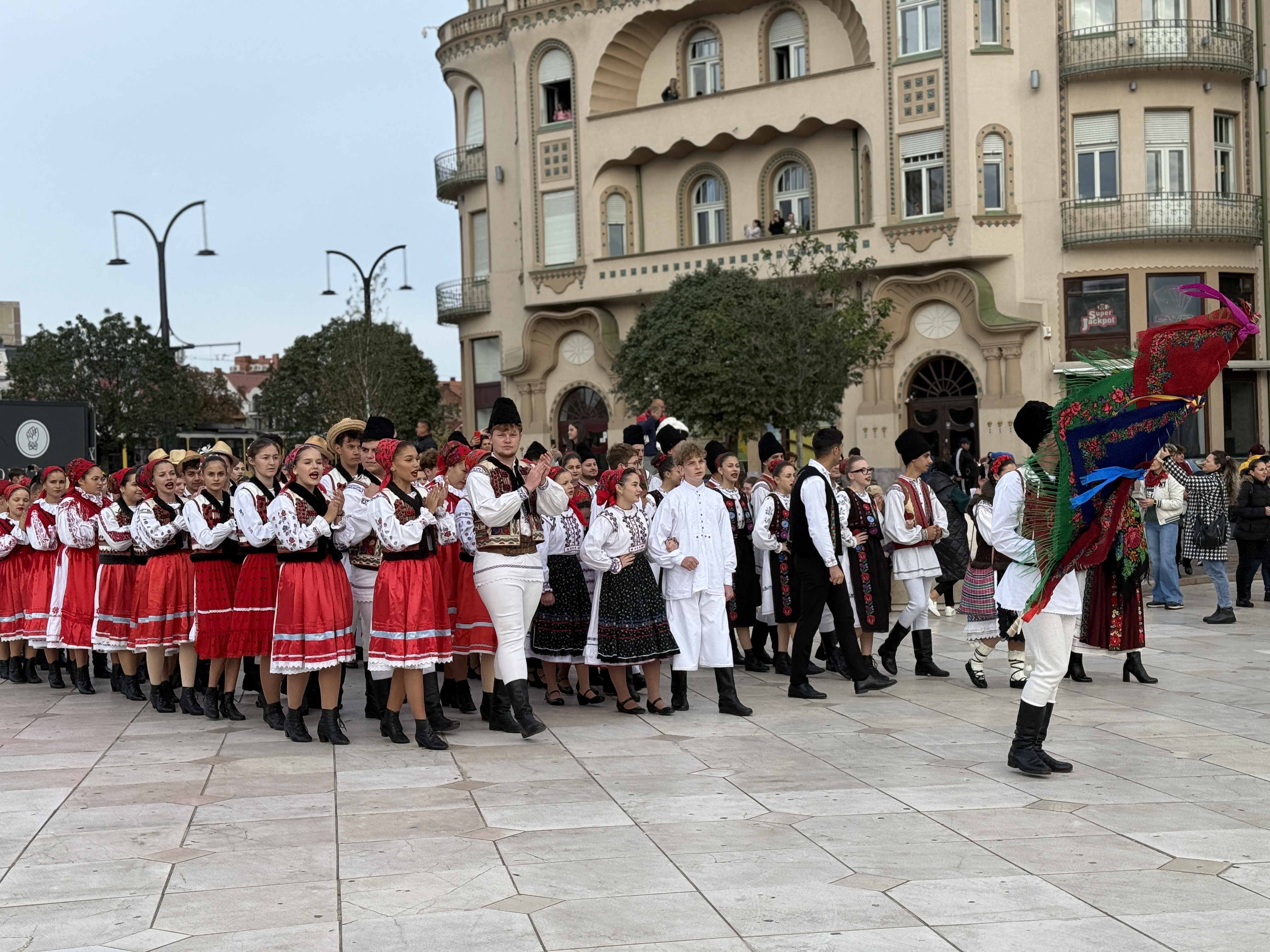 Higheghe și vin (11)