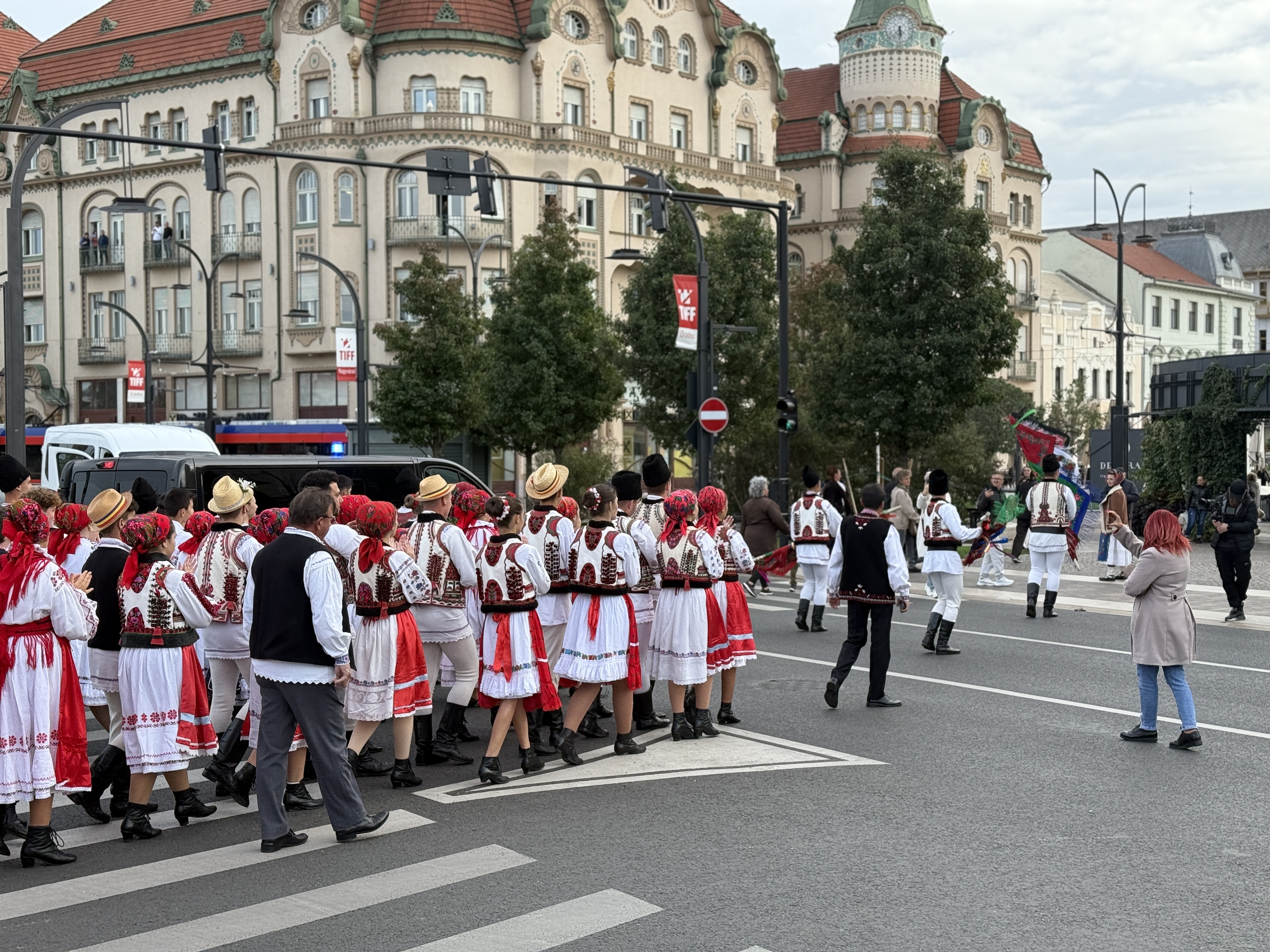 Higheghe și vin (12)