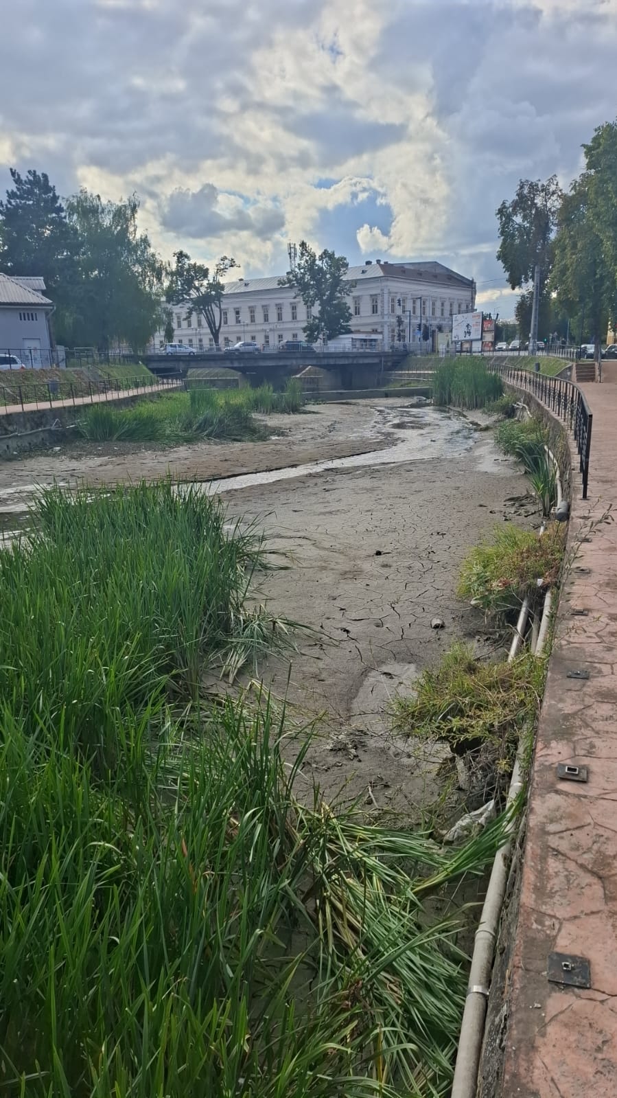 WhatsApp Image 2025-10-08 at 13.14.27 (1)