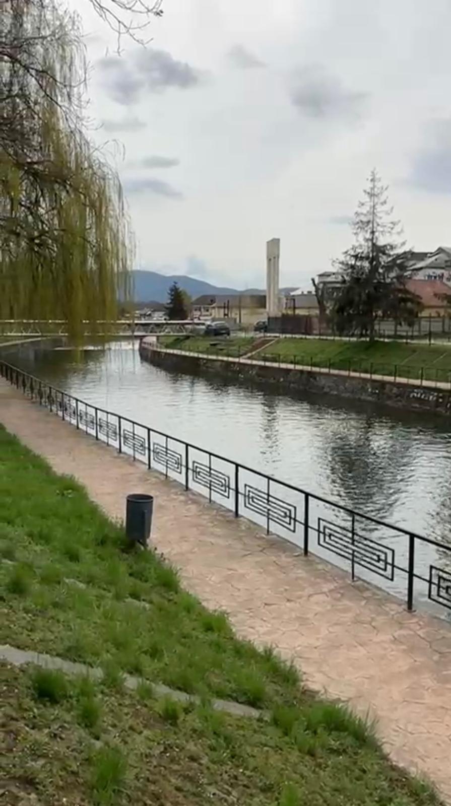 WhatsApp Image 2025-10-08 at 13.14.29