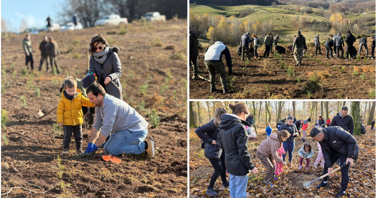 Mii de puieți s-au plantat rapid în județ la a patra ediție „Bihorul Plantează”