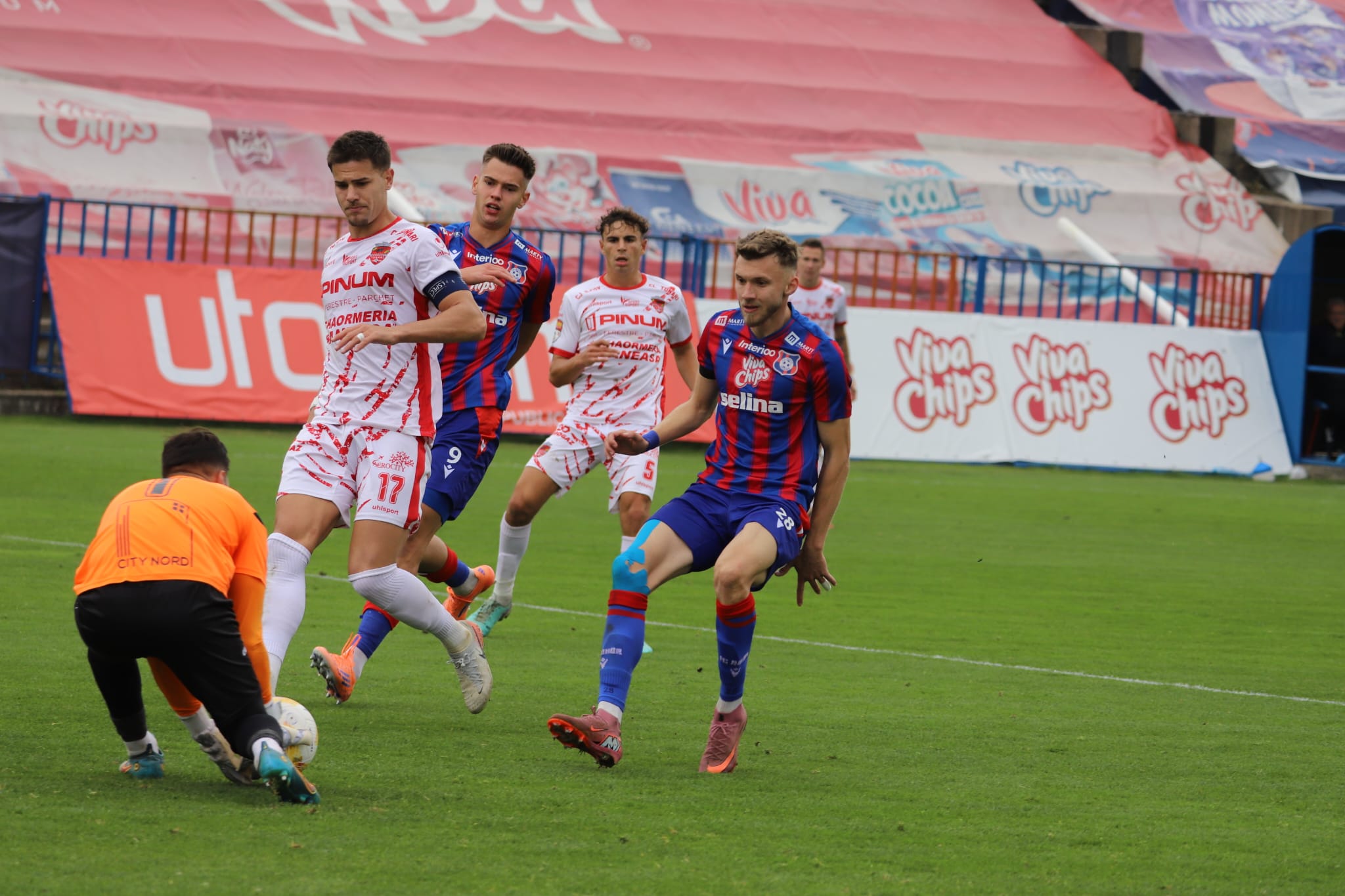 WhatsApp Image 2025-11-08 at 13.33.58 (1)