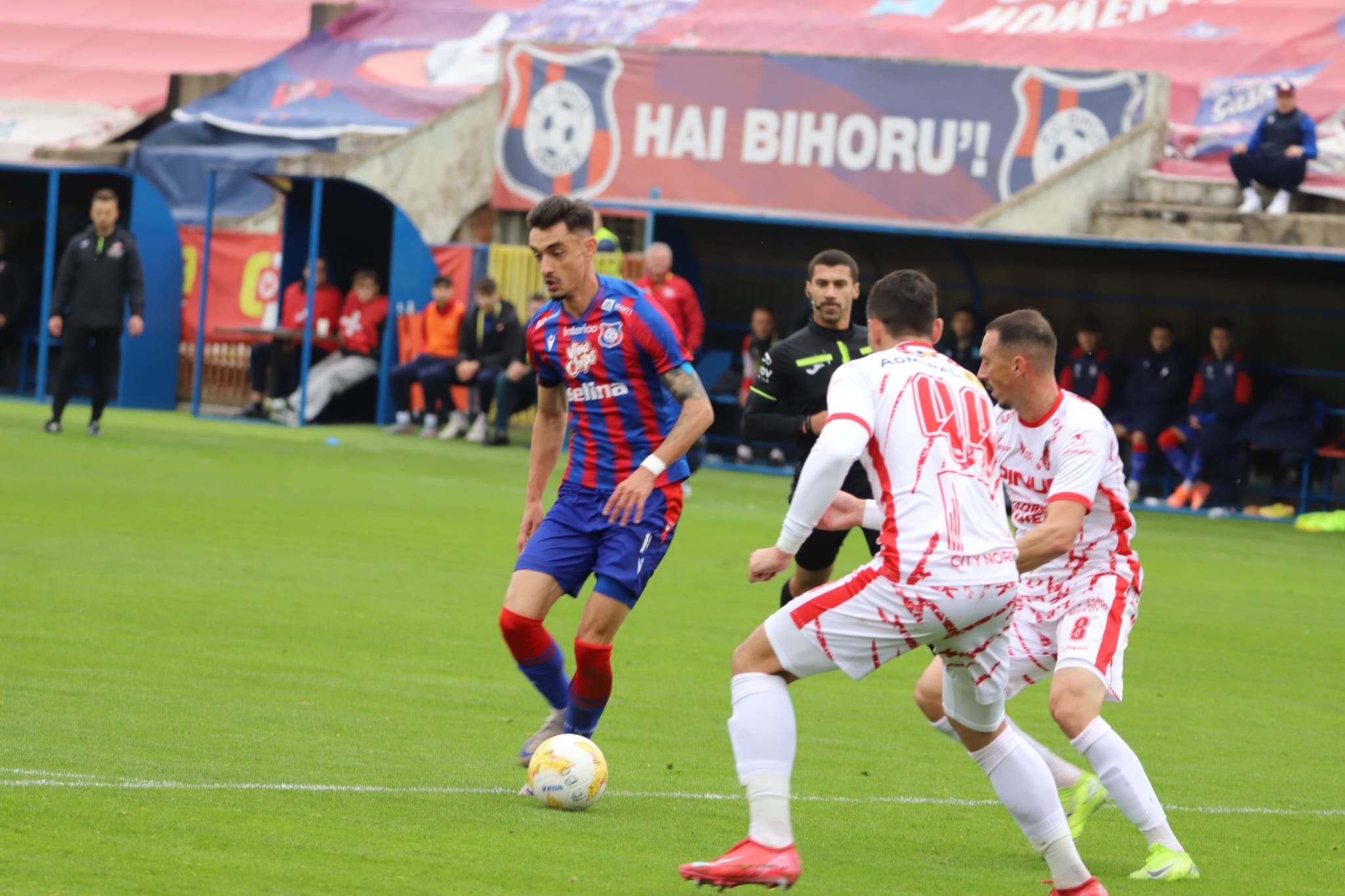 WhatsApp Image 2025-11-08 at 13.33.56