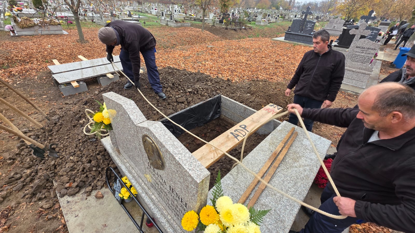 WhatsApp Image 2025-11-08 at 15.39.07