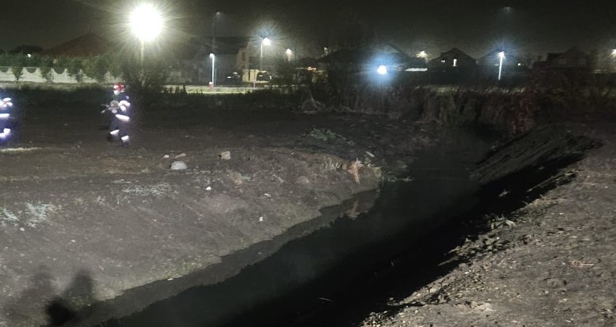 WhatsApp Image 2025-11-10 dog at 14.14.03