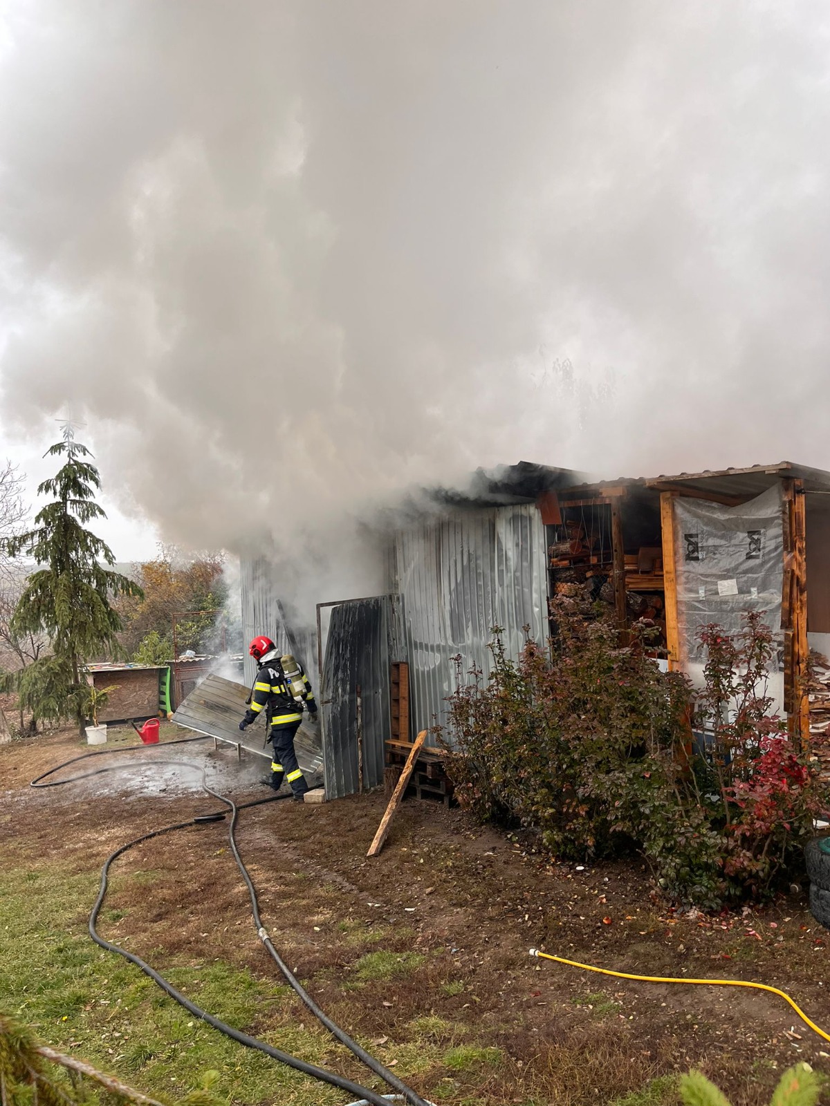 WhatsApp Image 2025-11-12 at 15.56.50 (2)