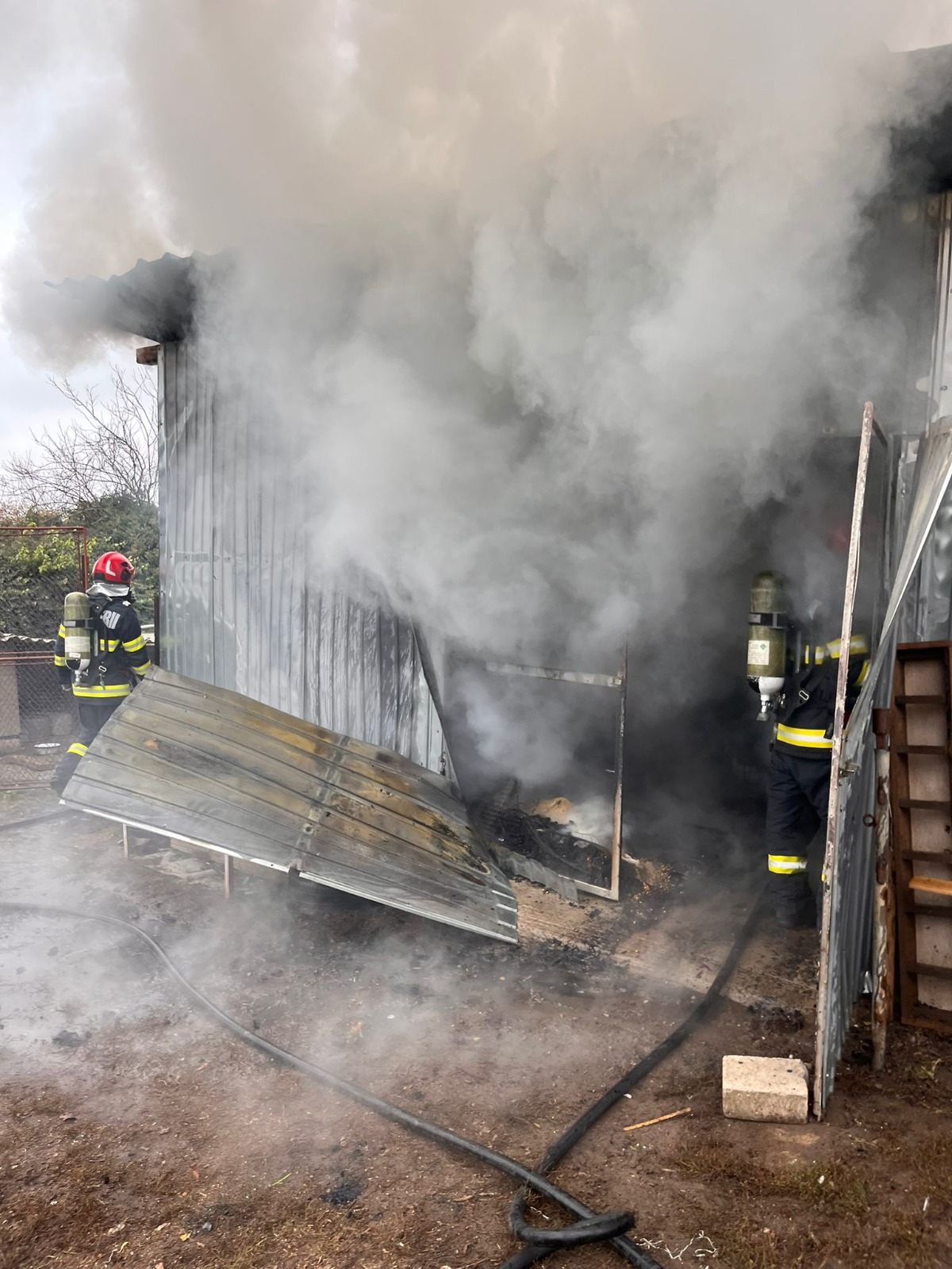 WhatsApp Image 2025-11-12 at 15.56.49