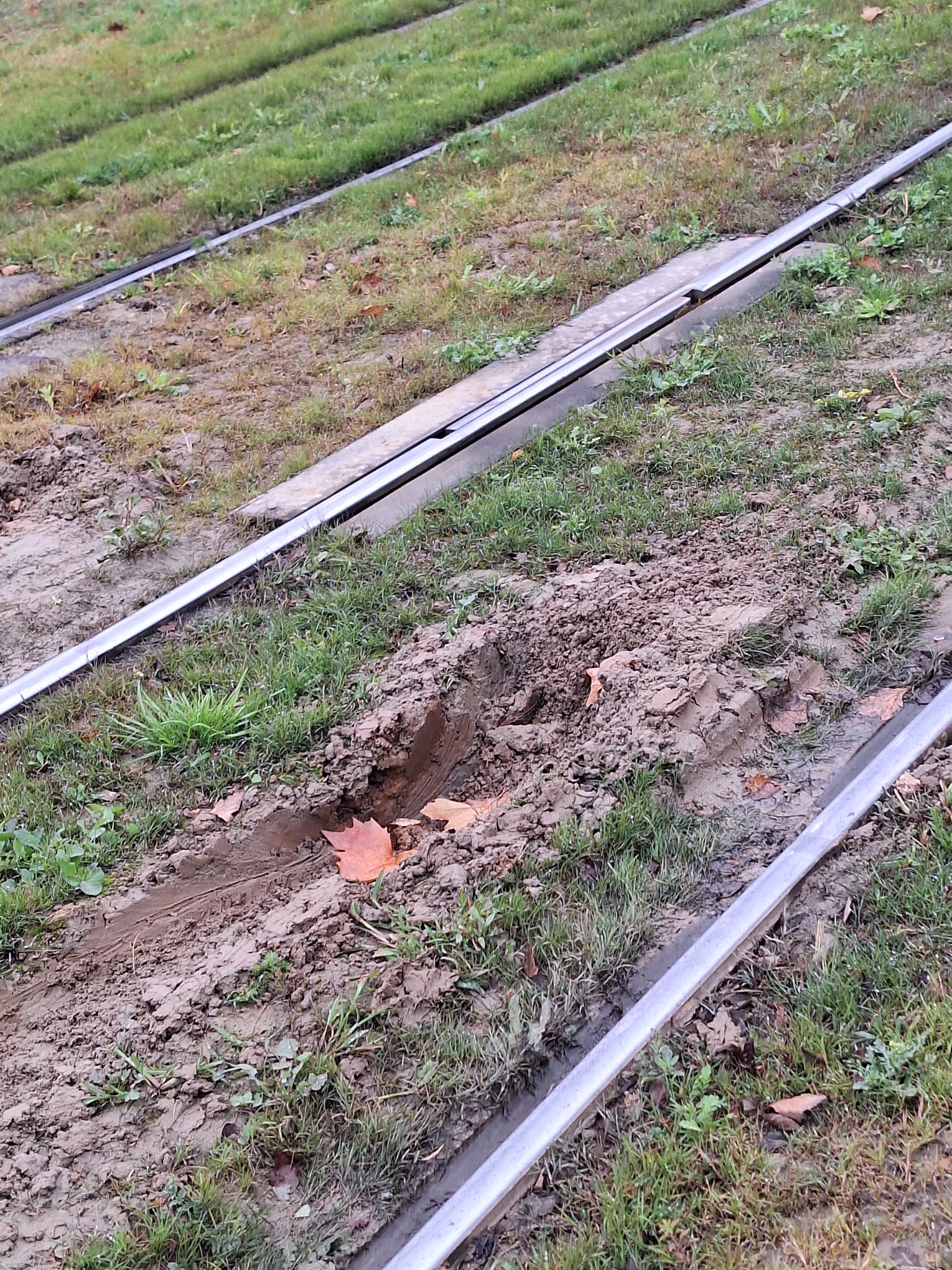 WhatsApp Image 2025-11-13 at 15.11.25