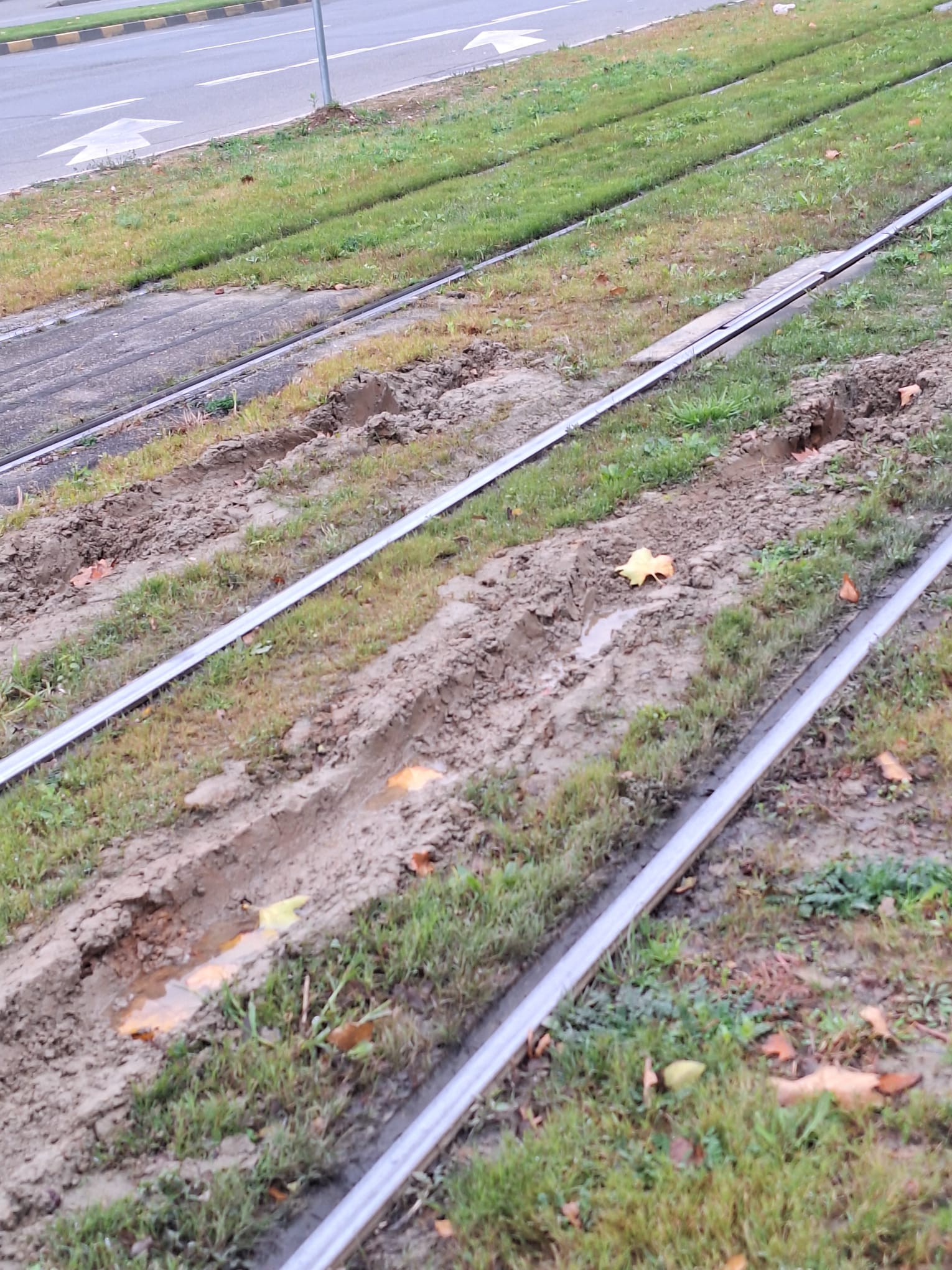 WhatsApp Image 2025-11-13 at 15.11.24 (3)