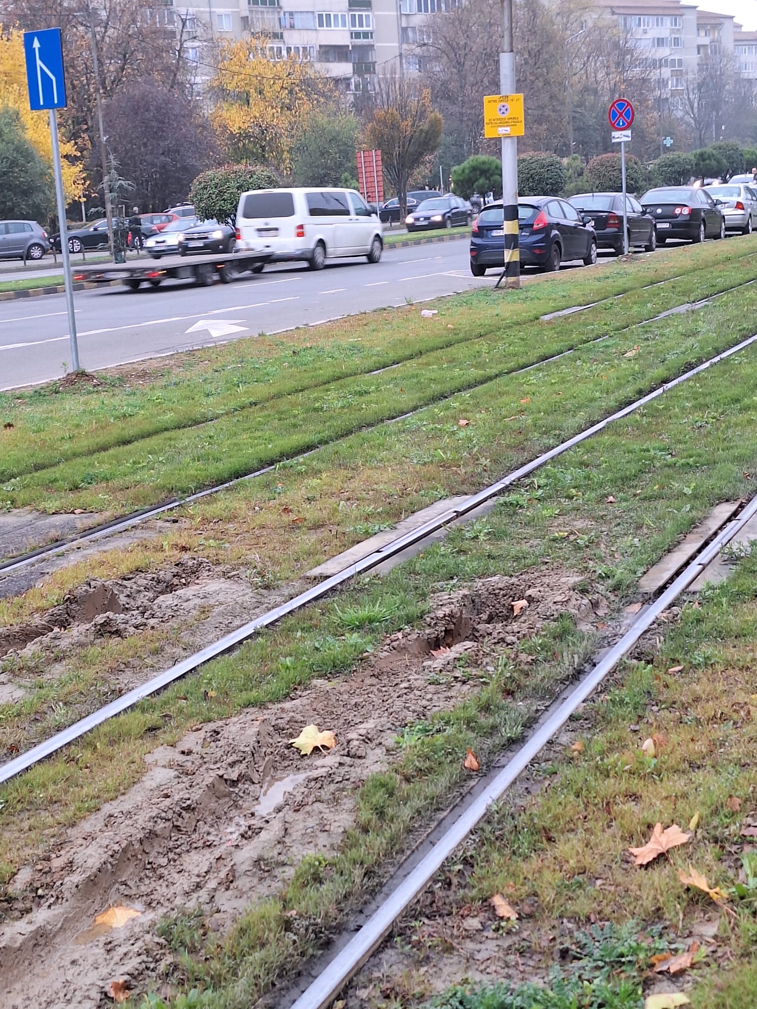 WhatsApp Image 2025-11-13 at 15.11.24 (2)