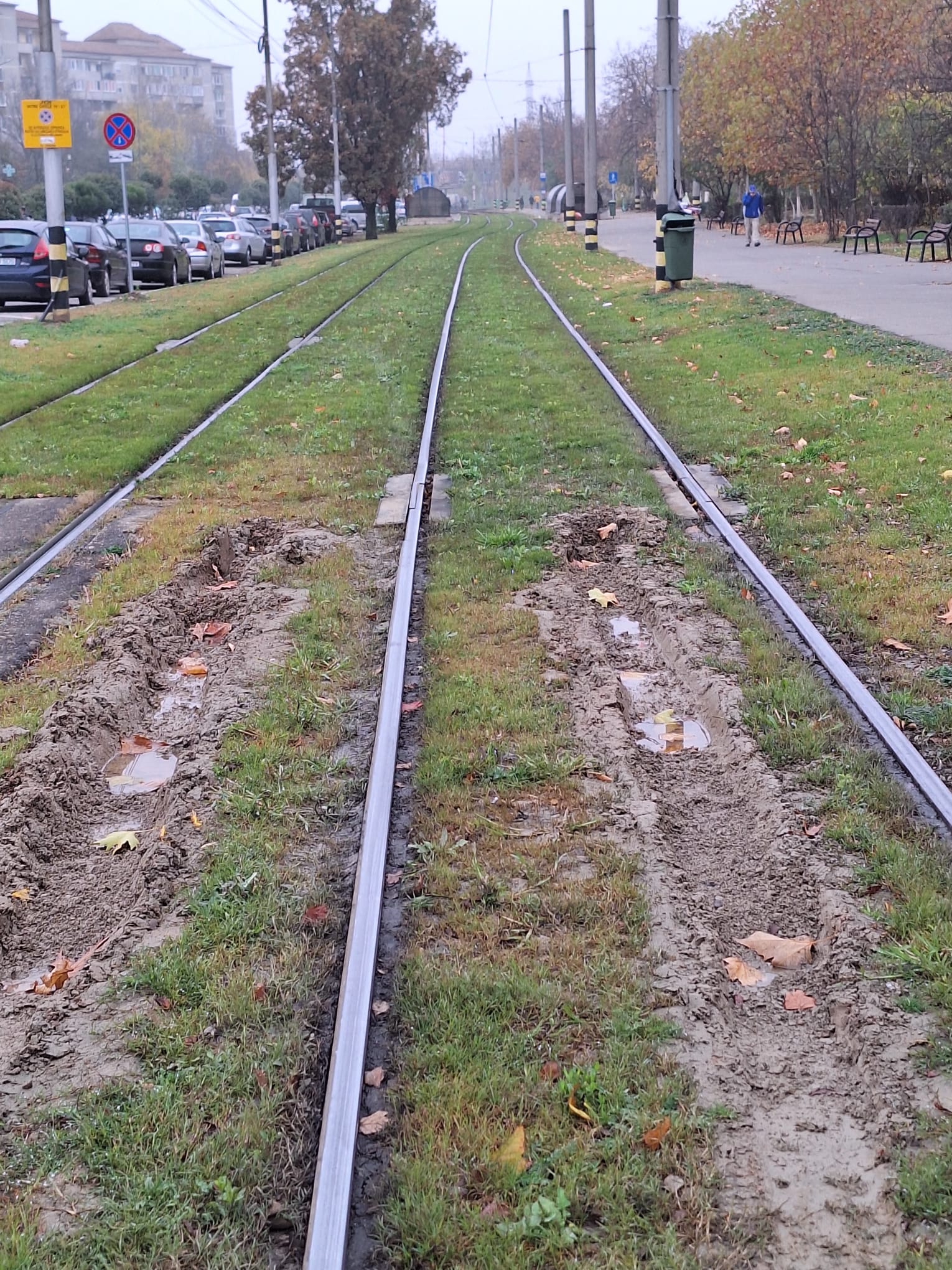 WhatsApp Image 2025-11-13 at 15.11.24 (1)