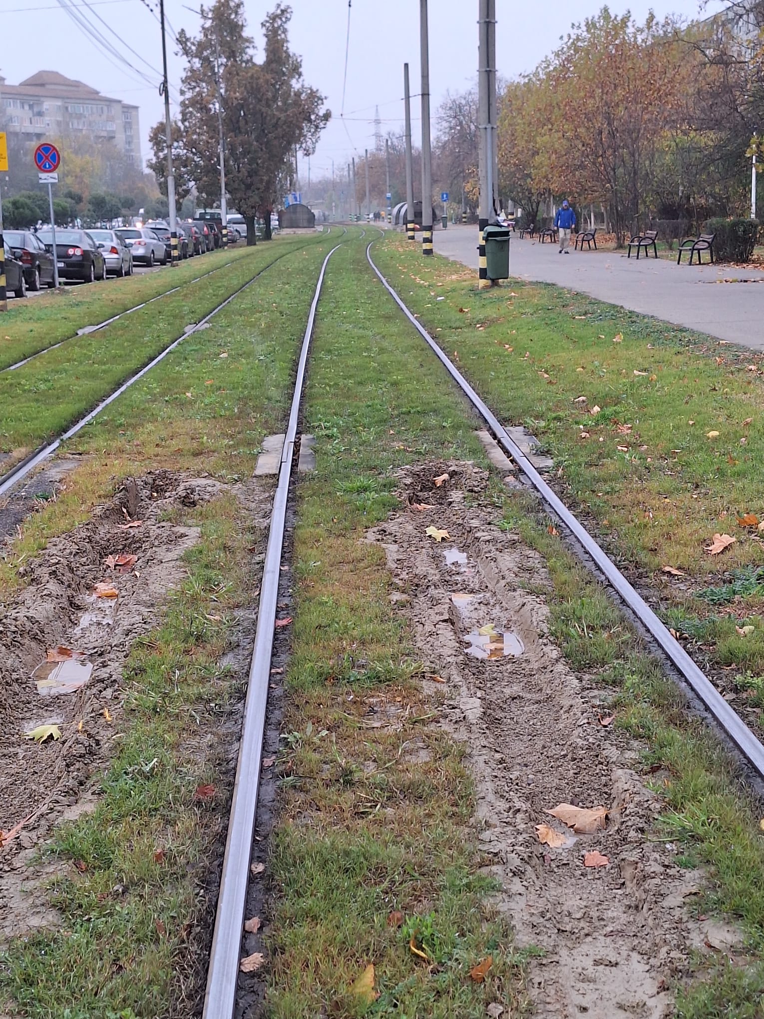 WhatsApp Image 2025-11-13 at 15.11.24