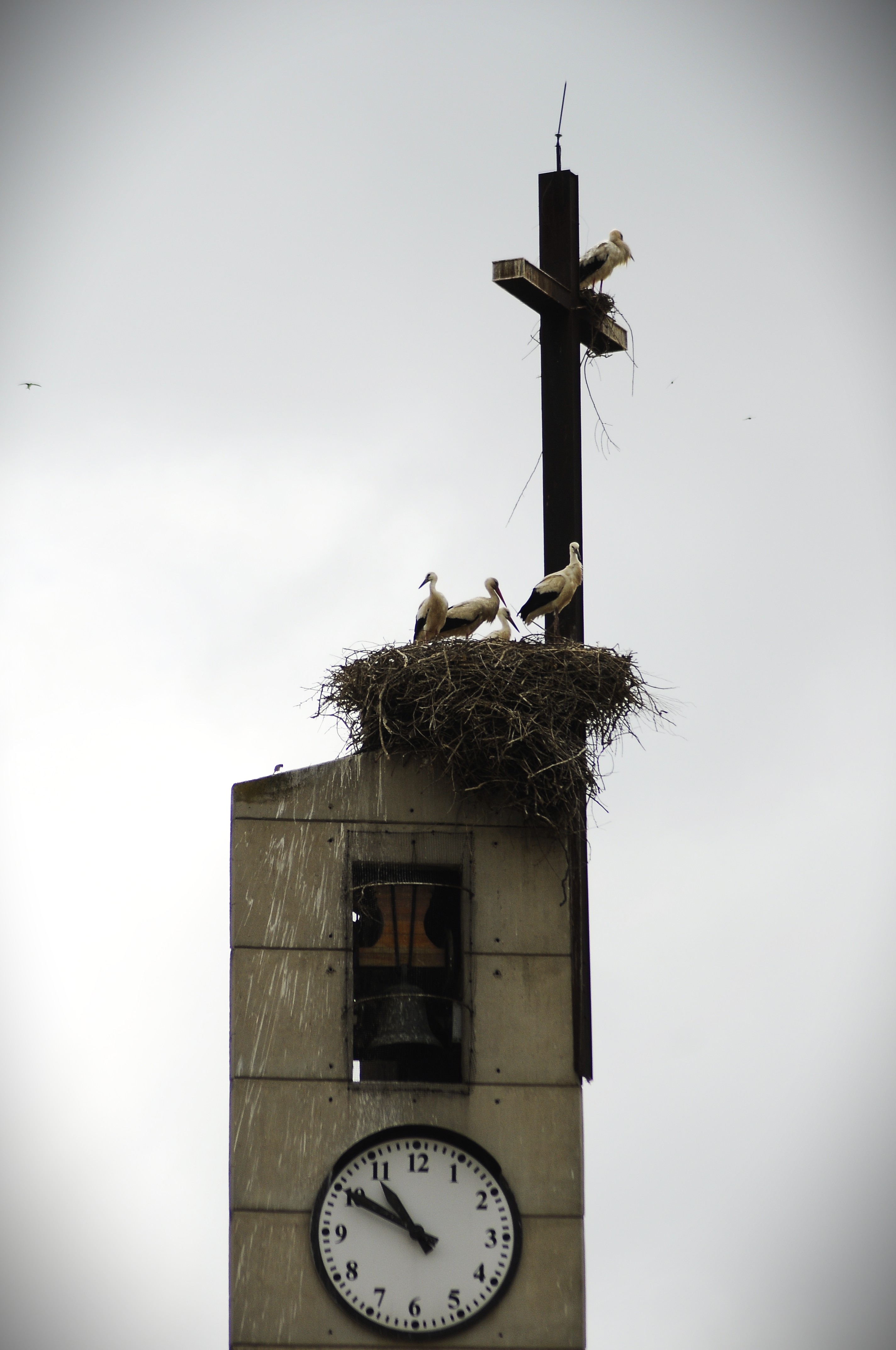 Constantin Demeter-Opreste-te clipa! (8)