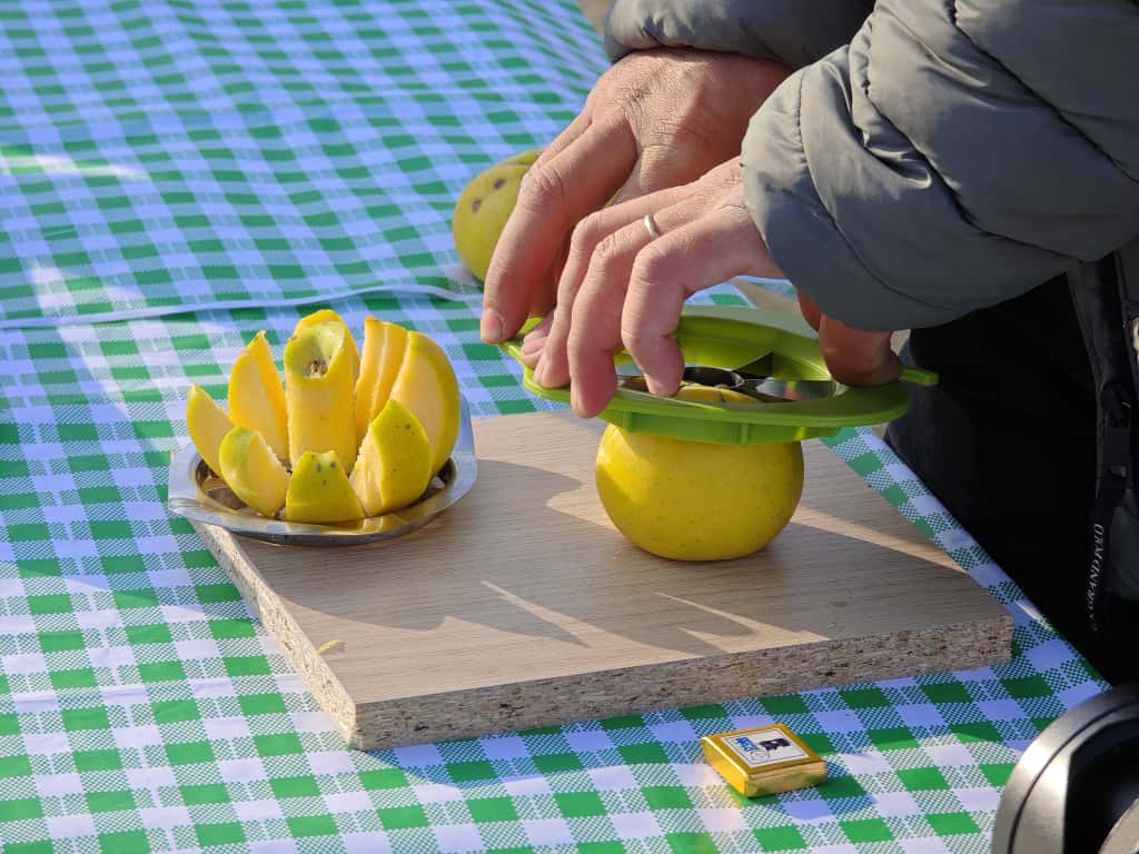 8104538b-1c2a-4770-b792-b8971380950a