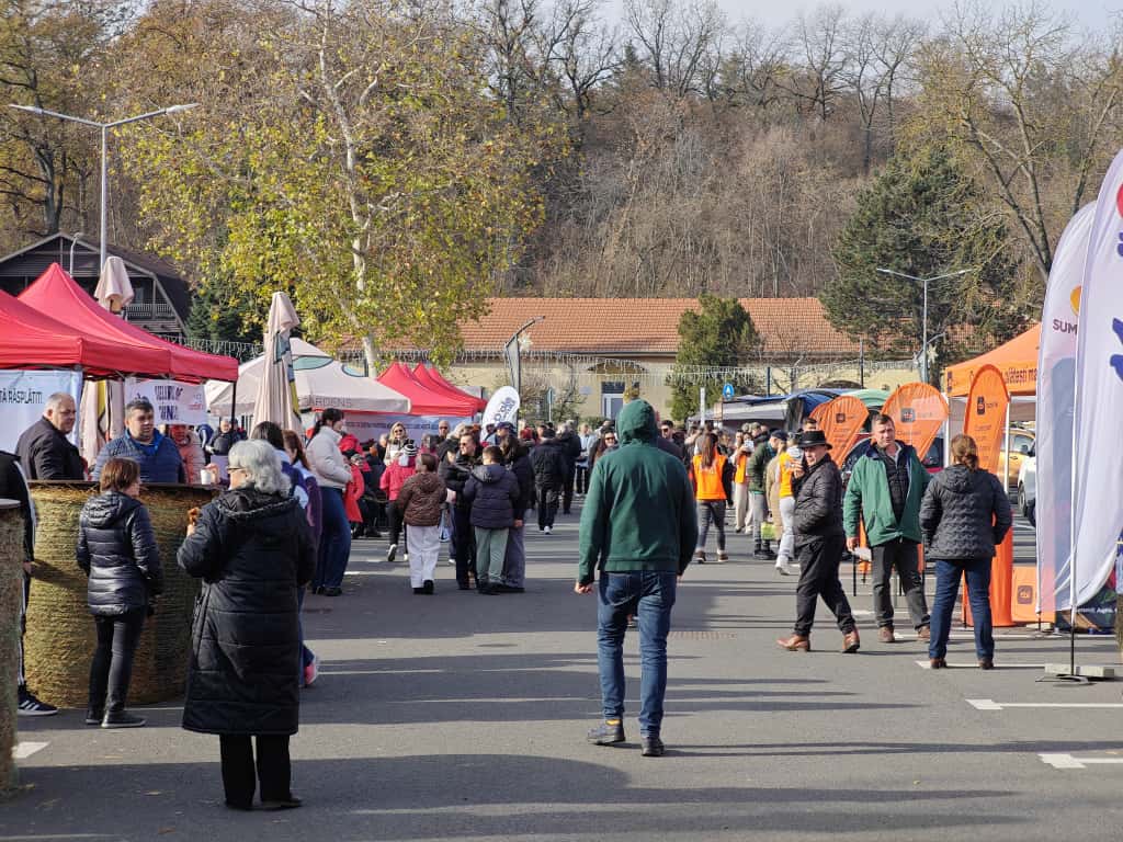 9b6223cd-fab3-4e18-b19c-49fce3e0a7cb