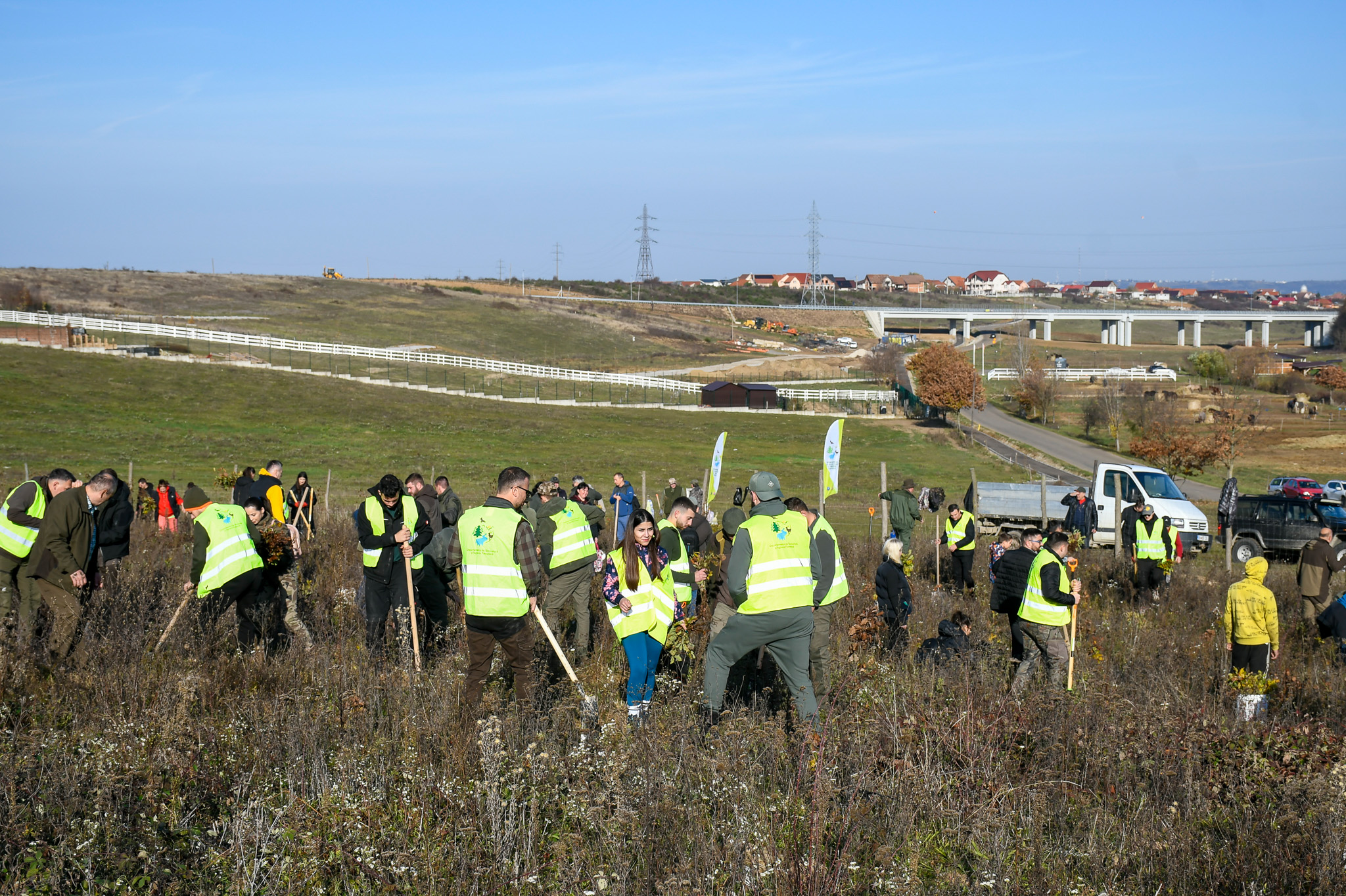 Bihorul Planteaza editia a patra (7)