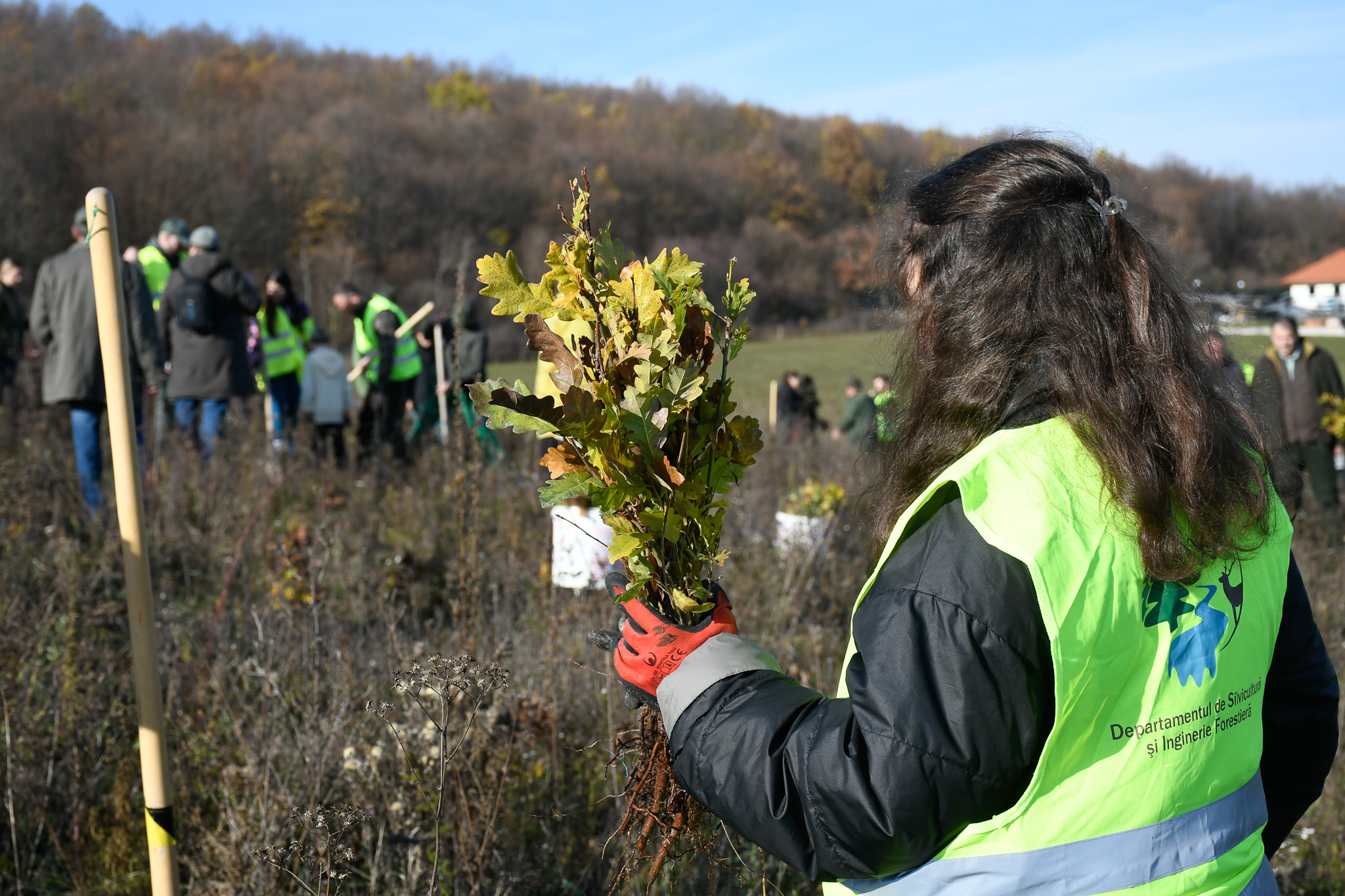 Bihorul Planteaza editia a patra (12)