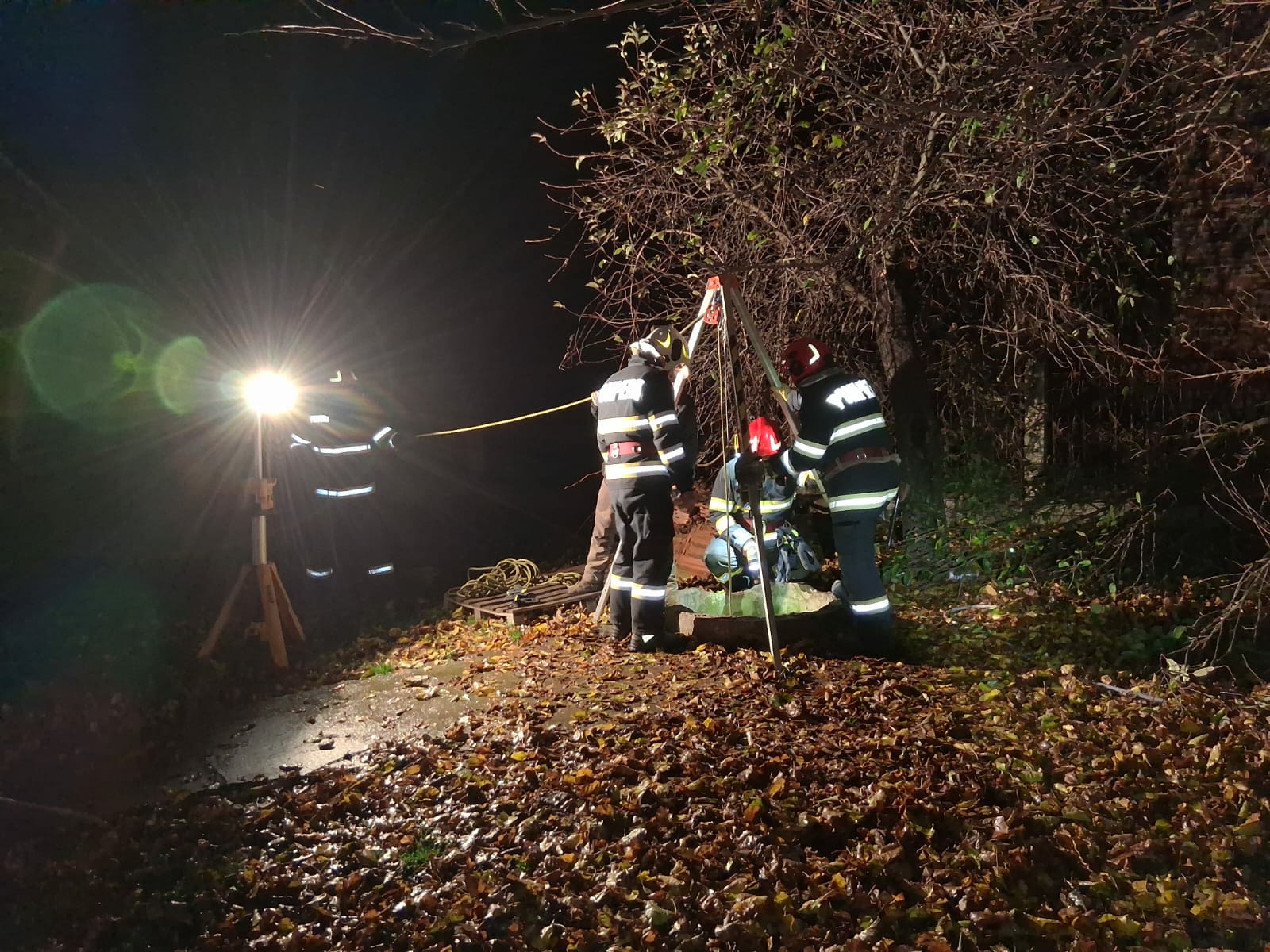 ccebbb00-5ed2-4be1-9ff1-5baa3966d4b3