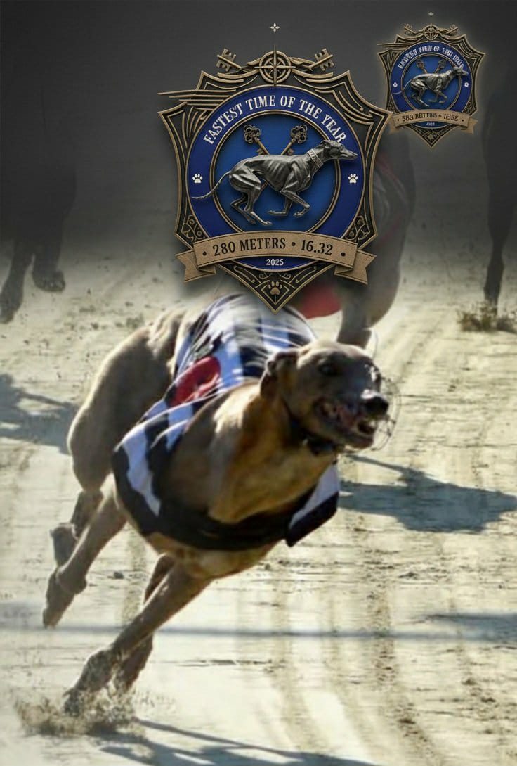 WhatsApp Image 2025-11-24 at 10.44.07 (1)