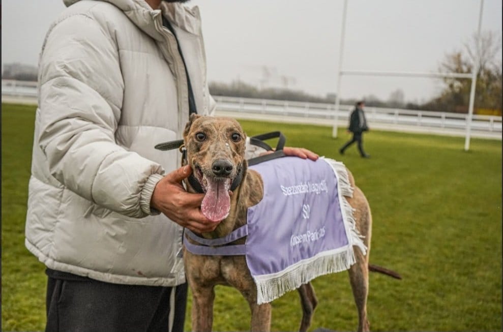 WhatsApp Image 2025-11-24 at 10.44.07 (2)