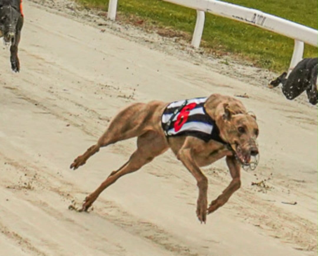 WhatsApp Image 2025-11-24 at 10.44.07 (3)