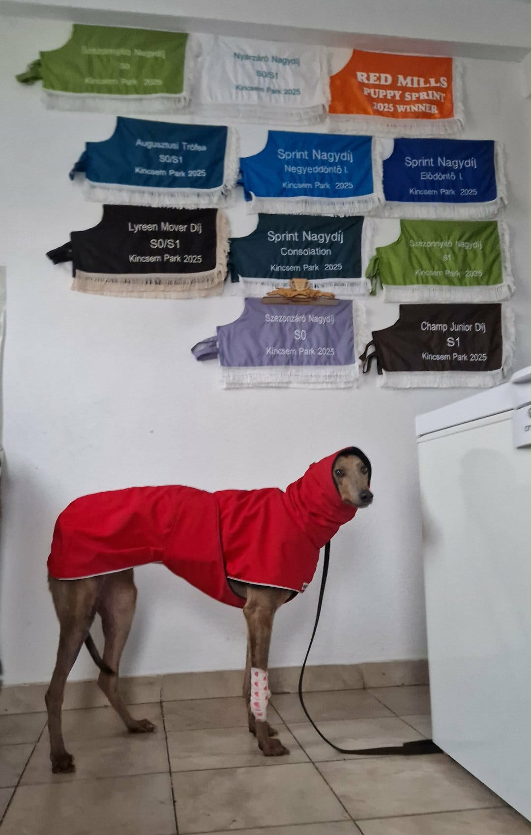 WhatsApp Image 2025-11-24 at 10.44.08 (1)