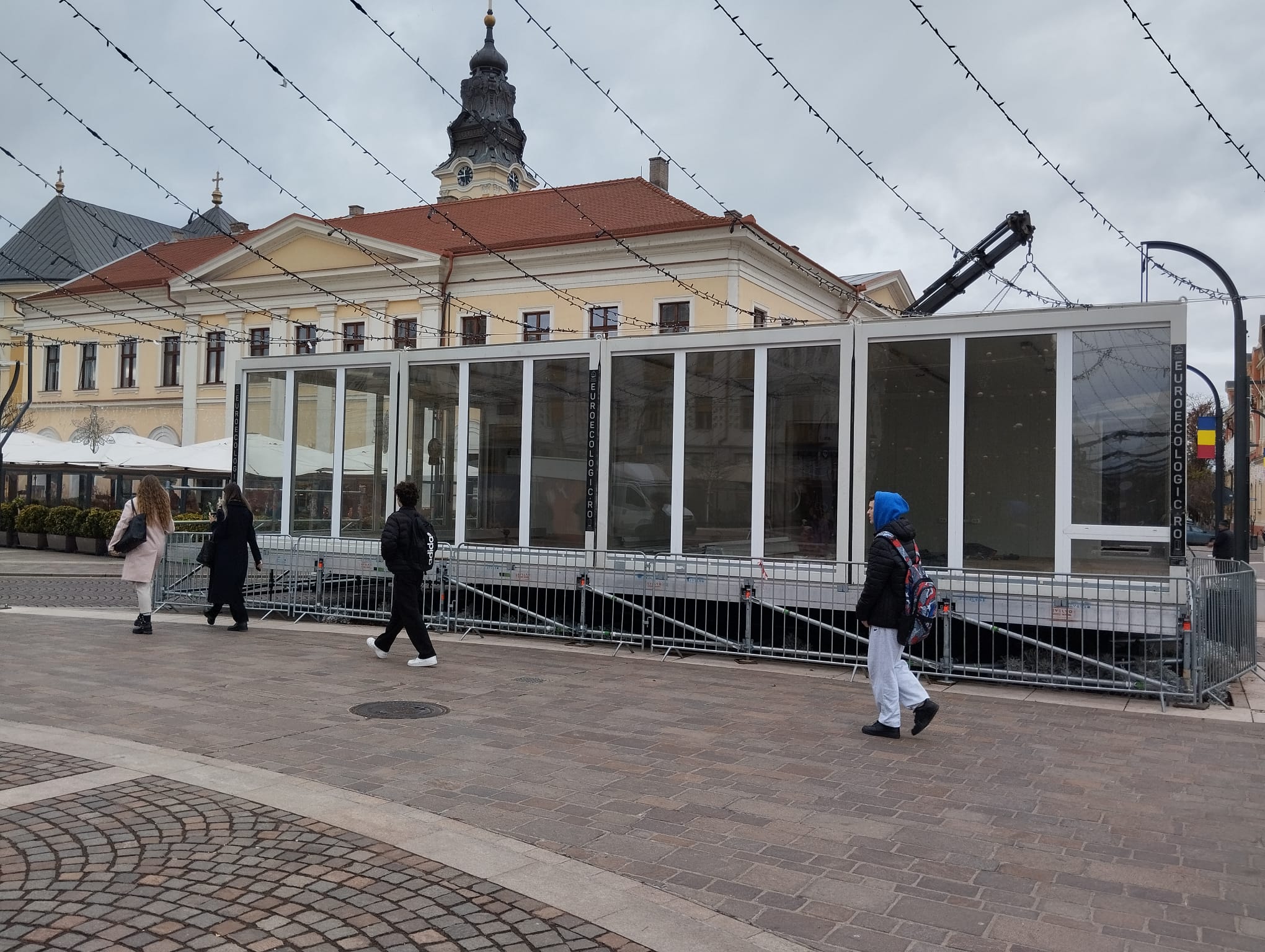 WhatsApp Image 2025-11-25 at 11.51.38 (3)