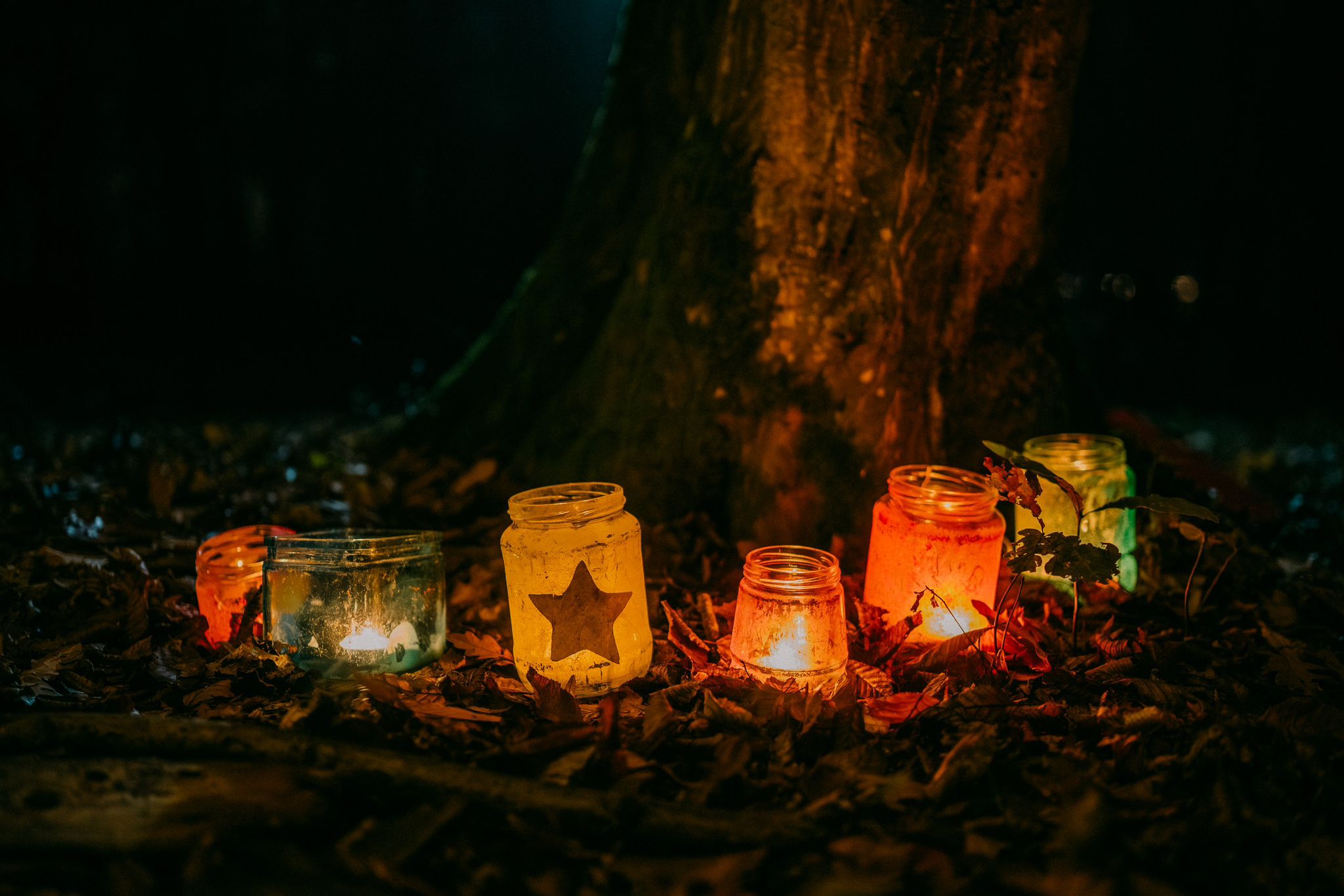 WhatsApp Image 2025-11-25 at 12.50.28