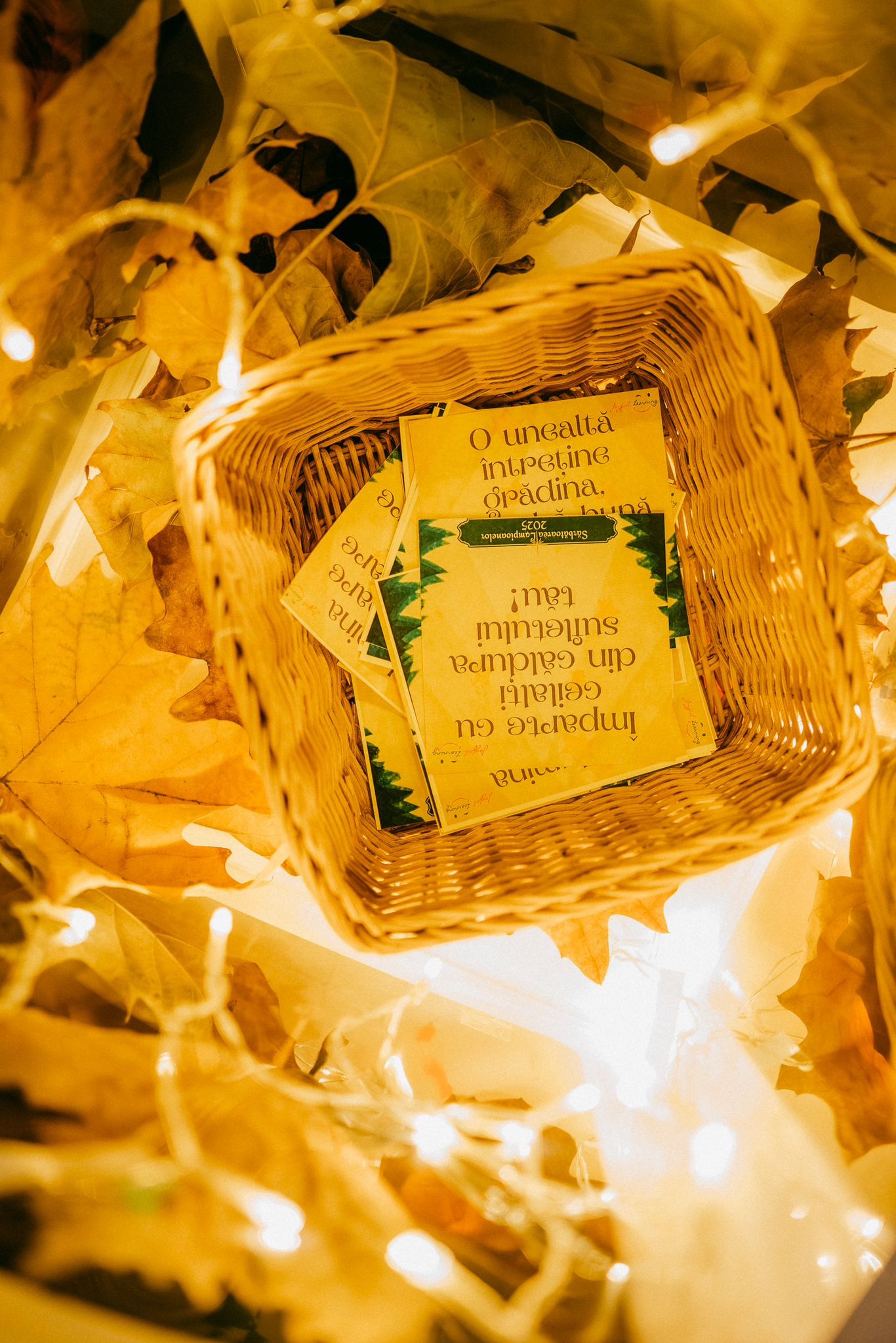 WhatsApp Image 2025-11-25 at 12.50.42