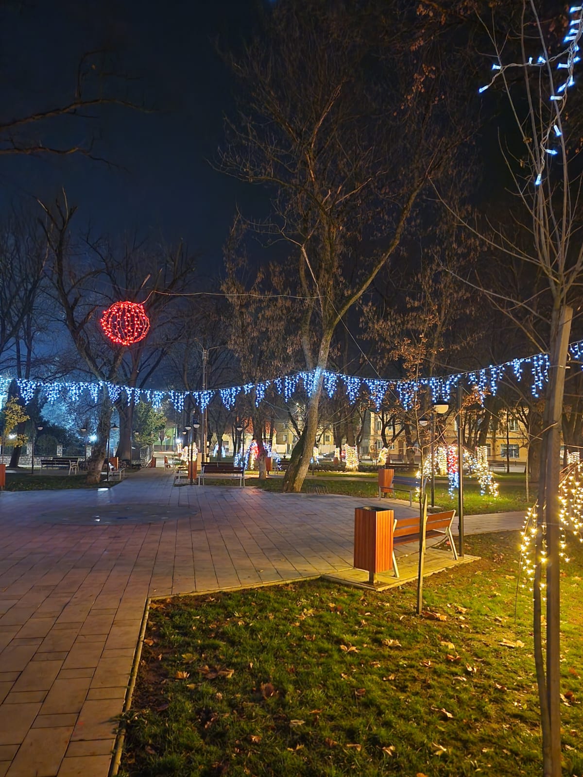 WhatsApp Image 2025-12-02 at 09.47.24 (3)