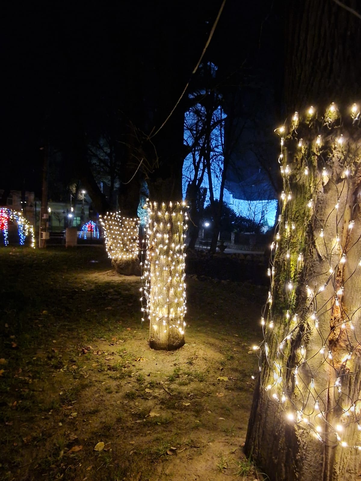 WhatsApp Image 2025-12-02 at 09.47.25 (5)