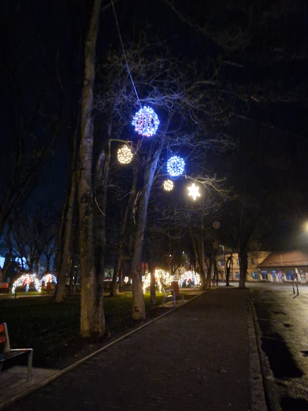 WhatsApp Image 2025-12-02 at 09.47.25 (7)