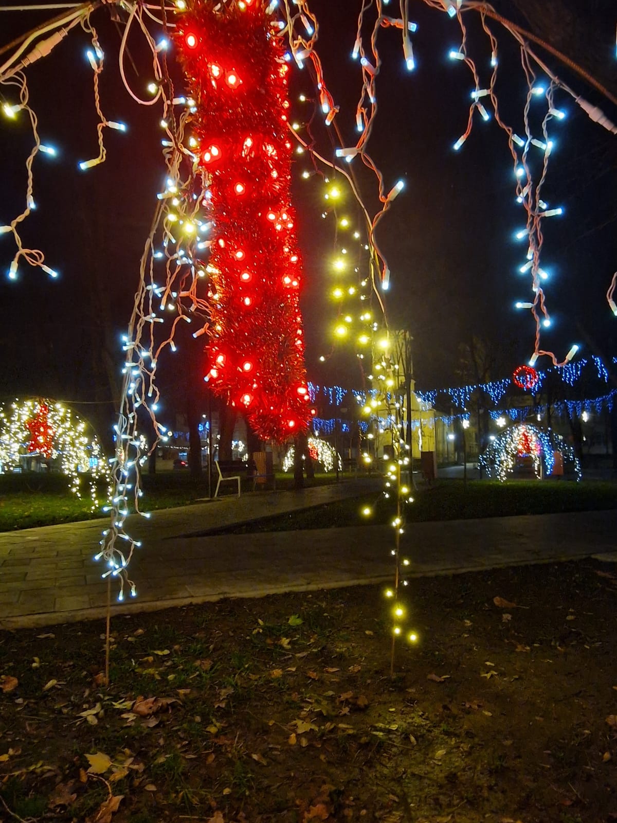 WhatsApp Image 2025-12-02 at 09.47.25 (8)