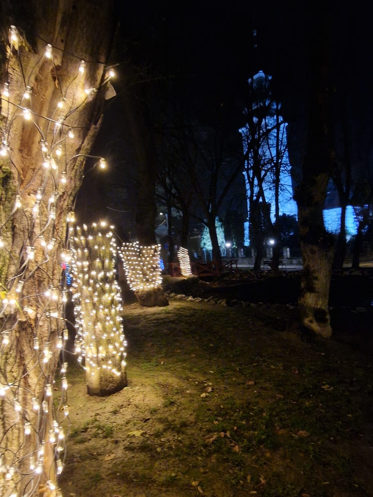 WhatsApp Image 2025-12-02 at 09.47.26