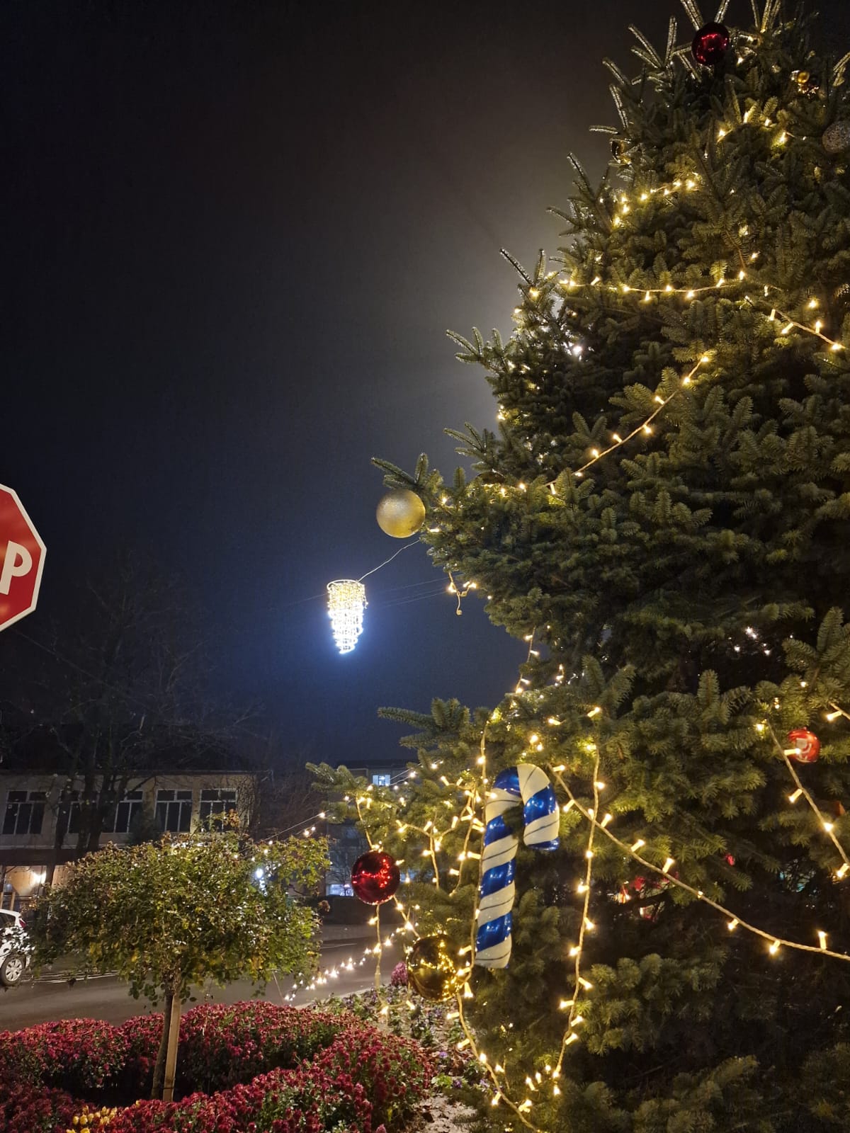 WhatsApp Image 2025-12-02 at 09.47.24