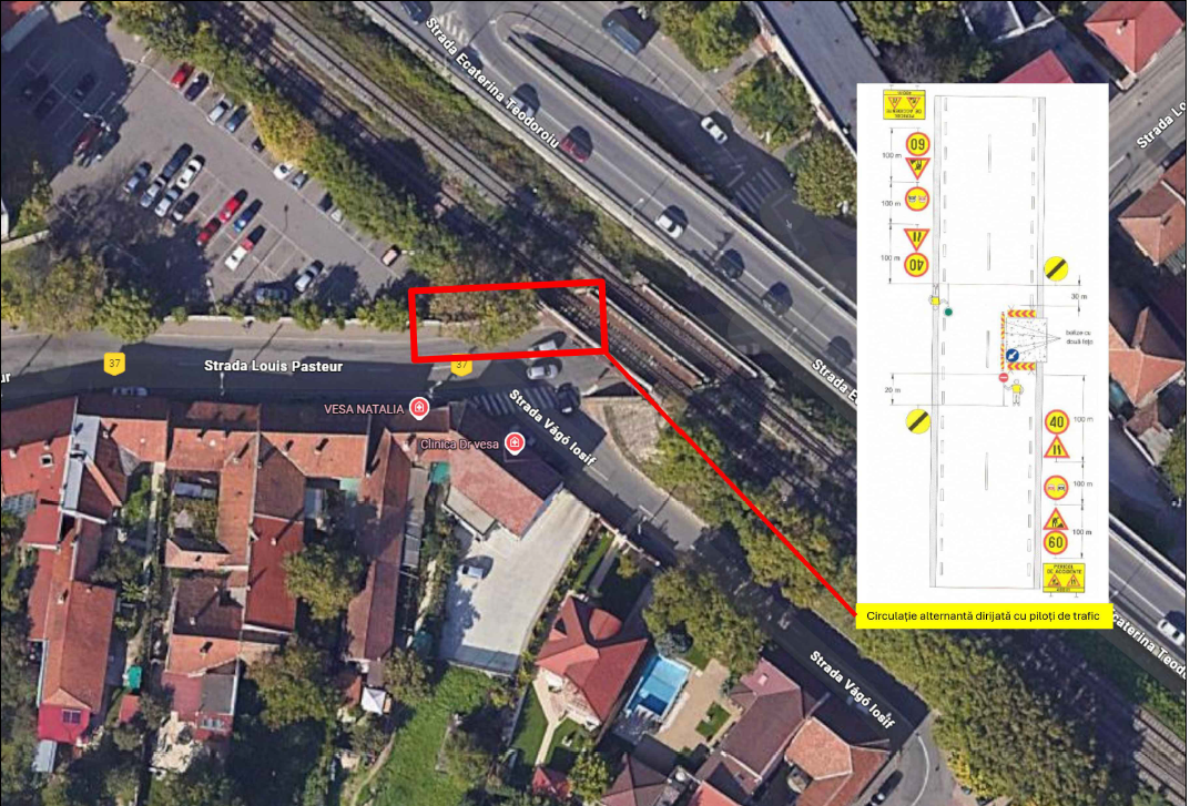 Louis Pasteur - restrictii