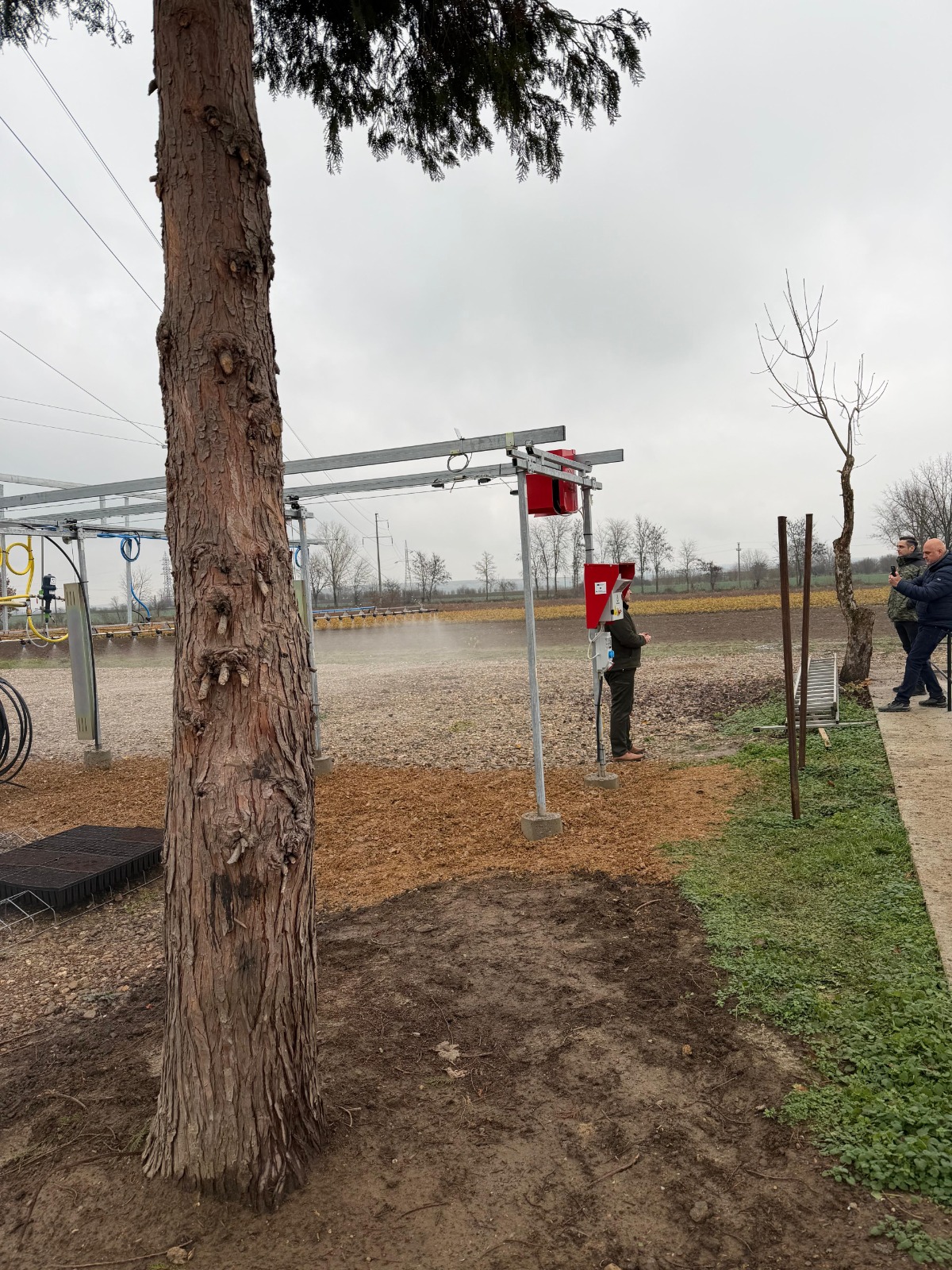 WhatsApp Image 2025-12-02 at 19.47.11