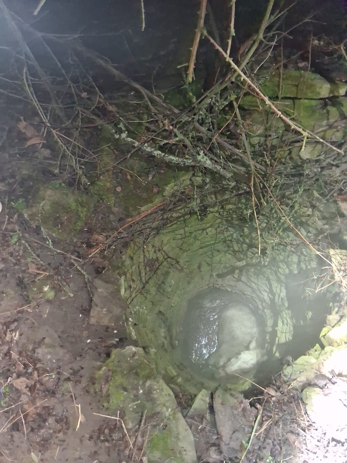 WhatsApp Image 2025-12-03 at 10.37.42