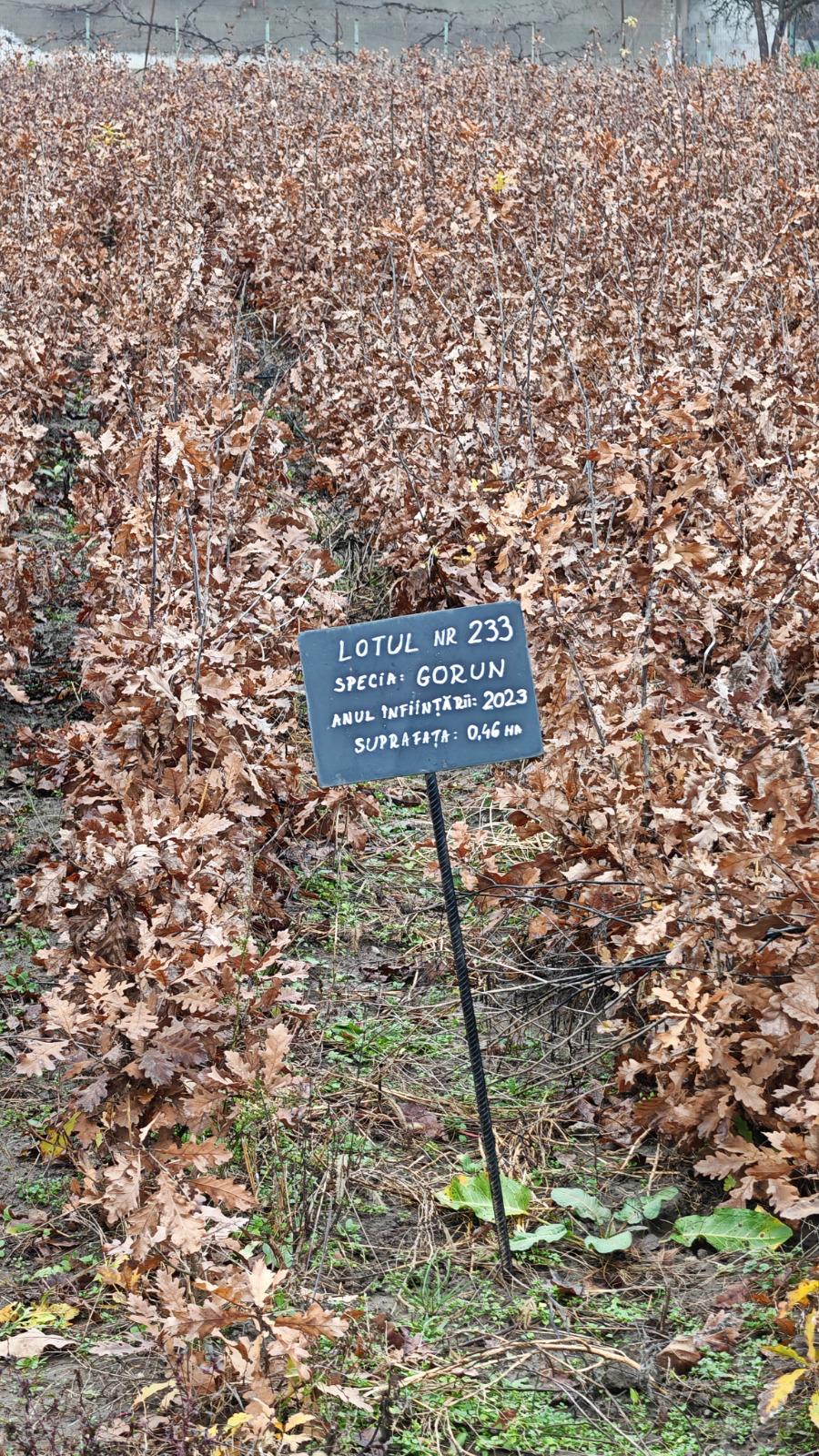 WhatsApp Image 2025-12-03 at 11.17.13