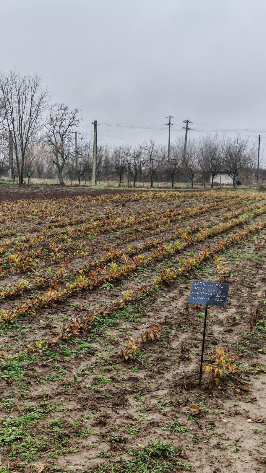 WhatsApp Image 2025-12-03 at 11.17.17 (2)