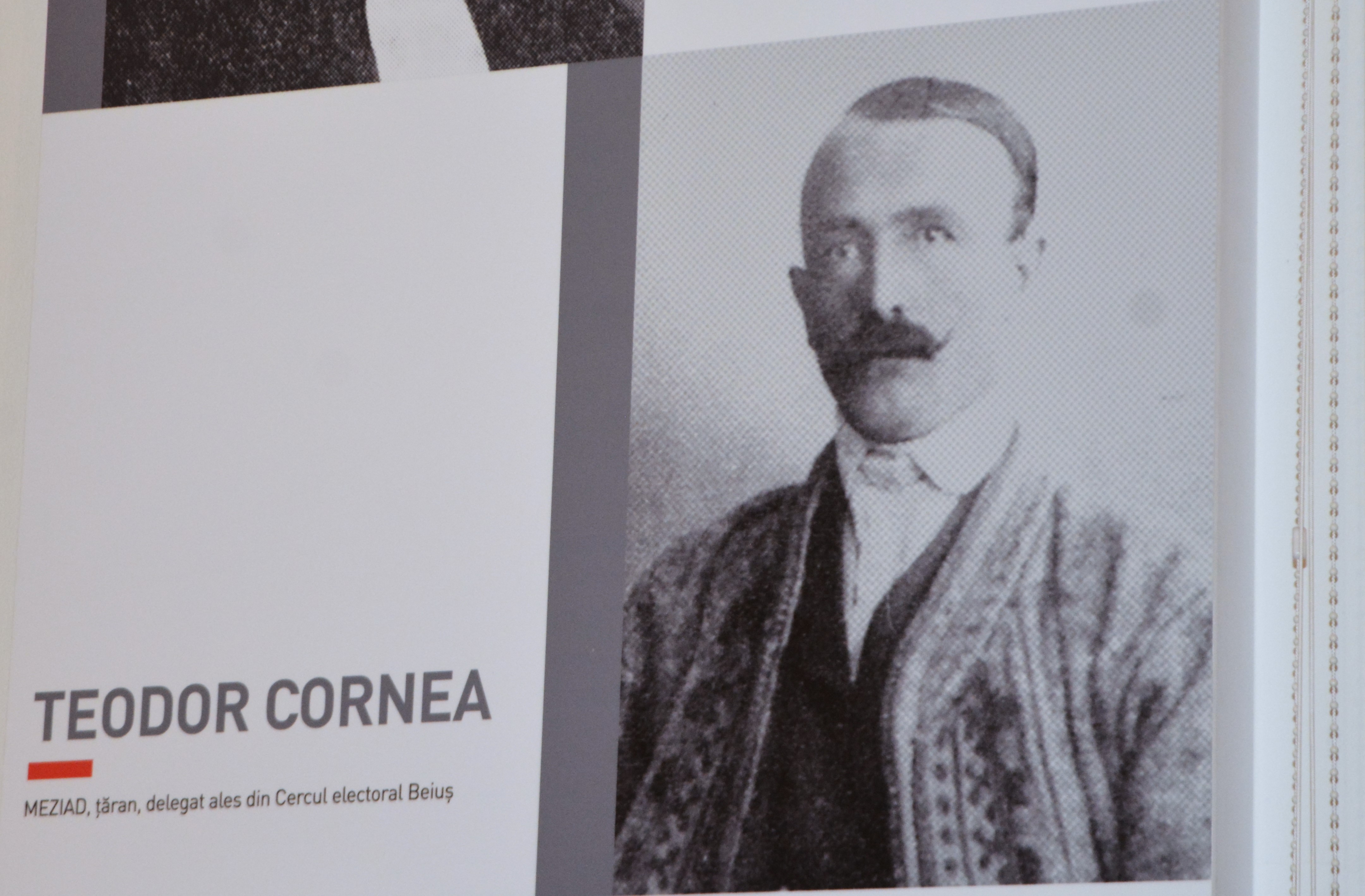 Teodor Cornea (2)
