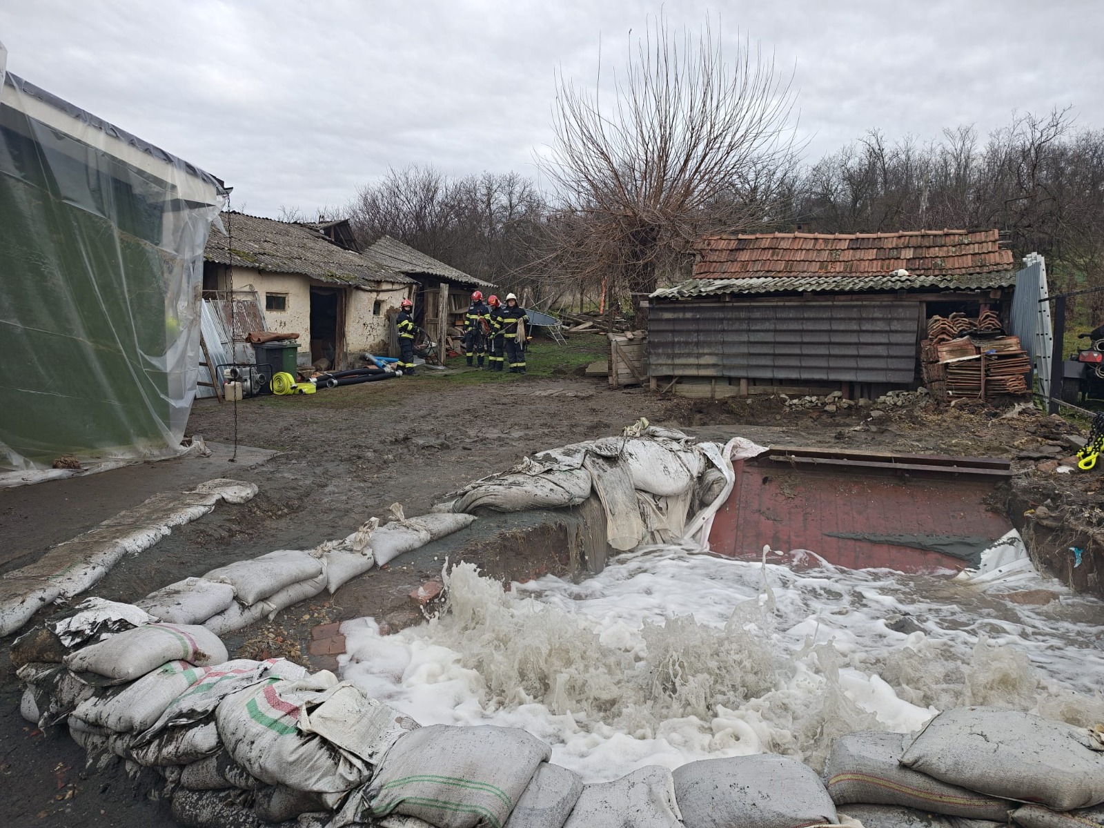 WhatsApp Image 2025-12-09 at 15.20.51 (1)