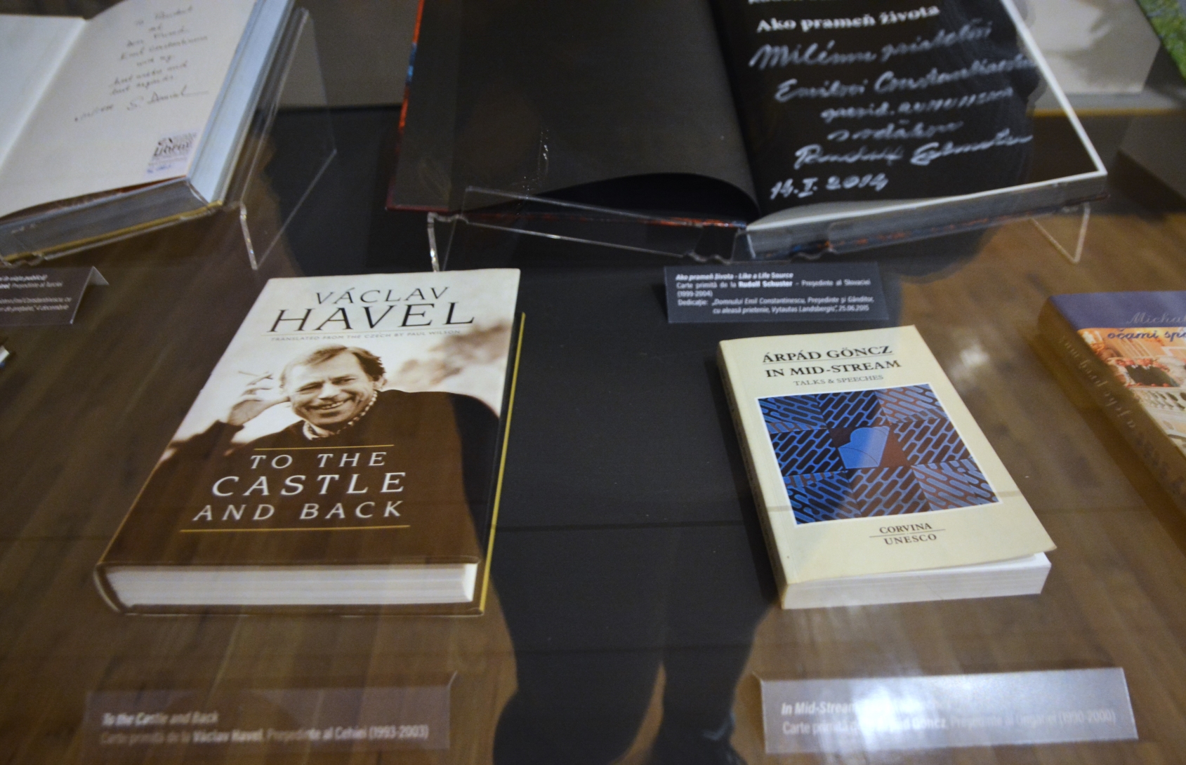 Emil Constantinescu la Oradea (25)