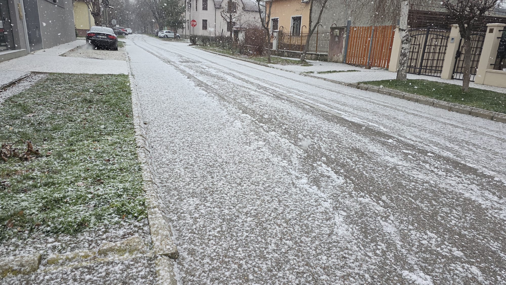 WhatsApp Image 2025-12-30 at 09.33.31