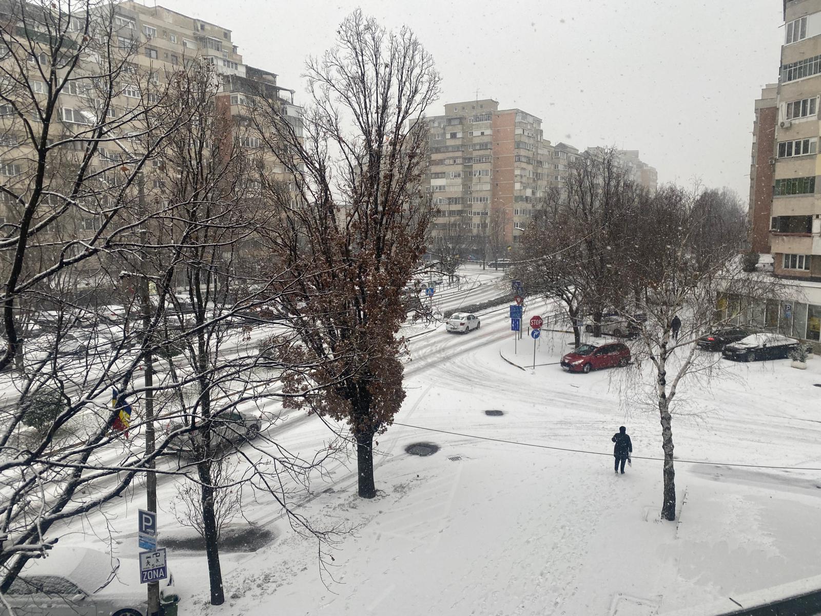 WhatsApp Image 2025-12-30 at 10.00.35