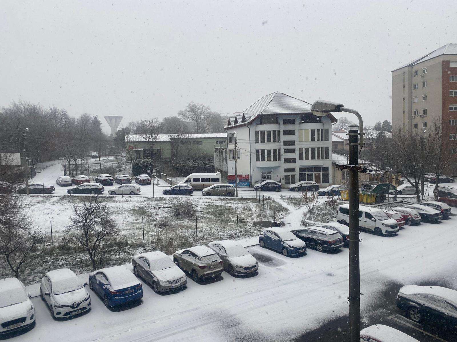 WhatsApp Image 2025-12-30 at 10.00.36