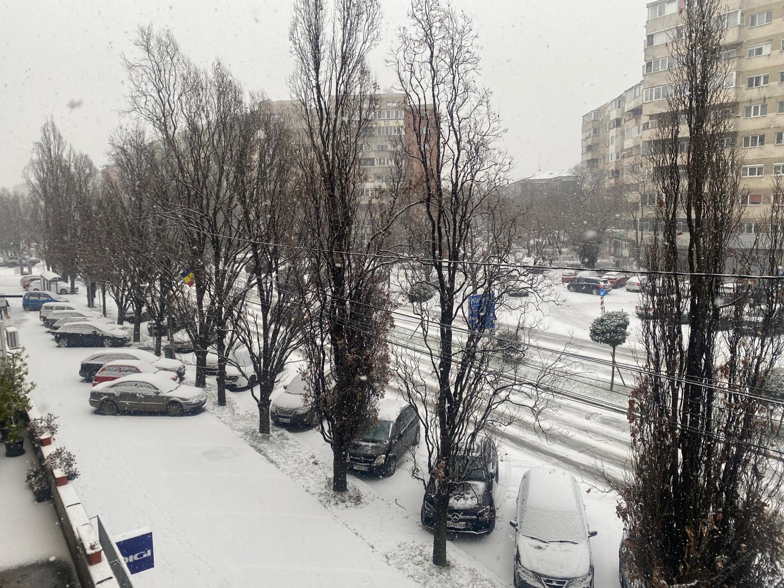 WhatsApp Image 2025-12-30 at 10.00.35 (1)